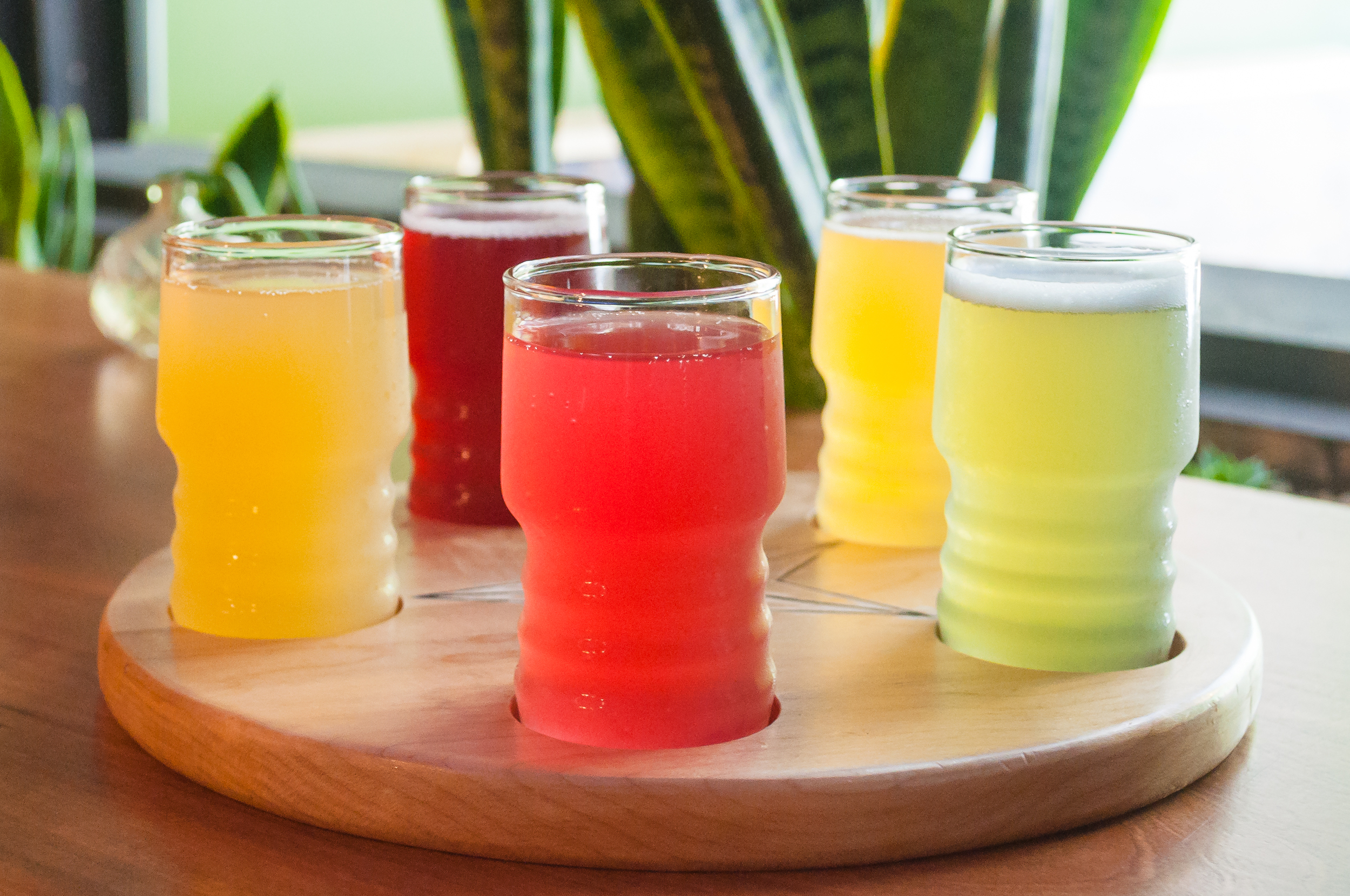 Kombucha Flight