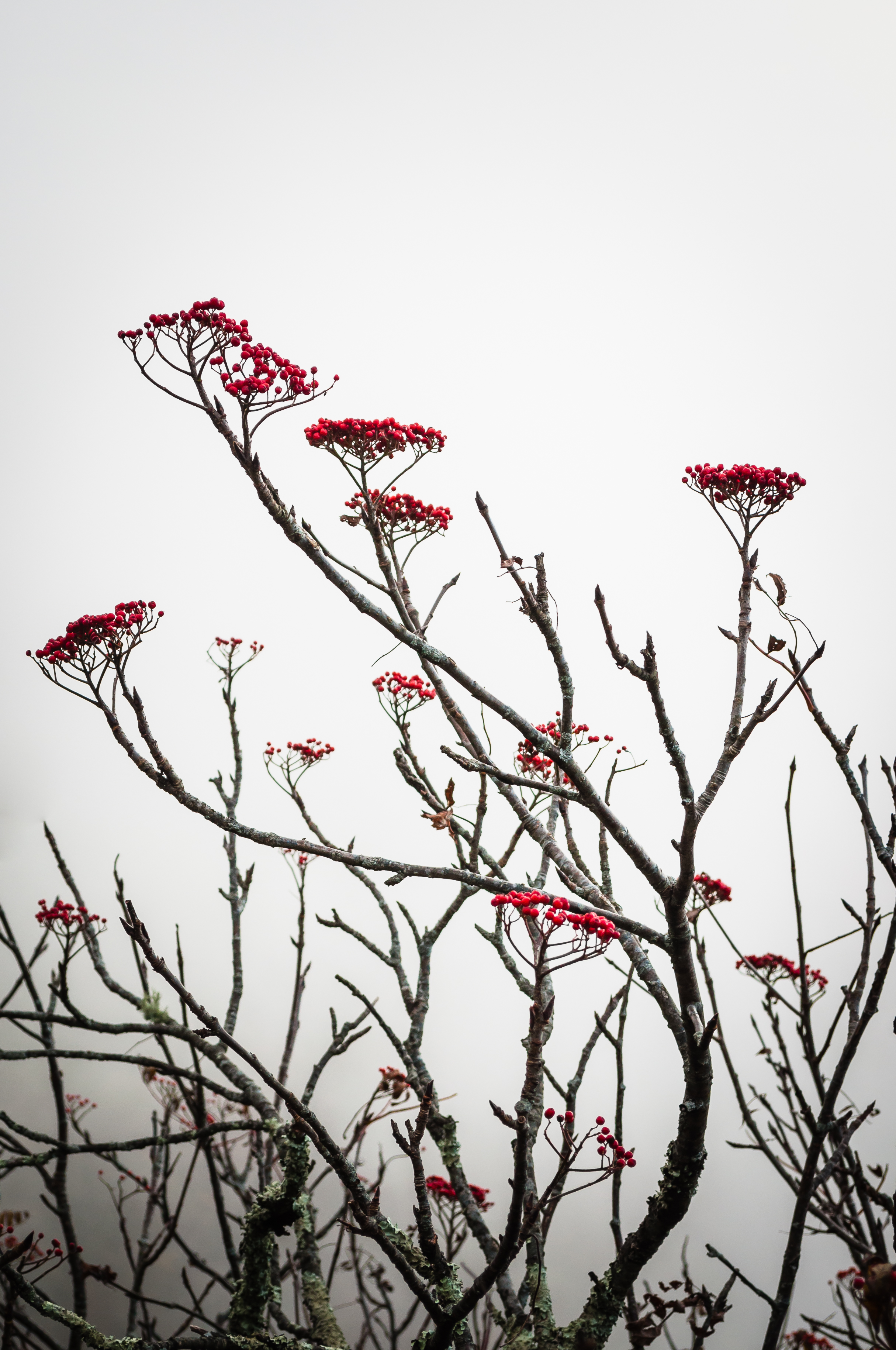 20131018-_DSC0386.jpg