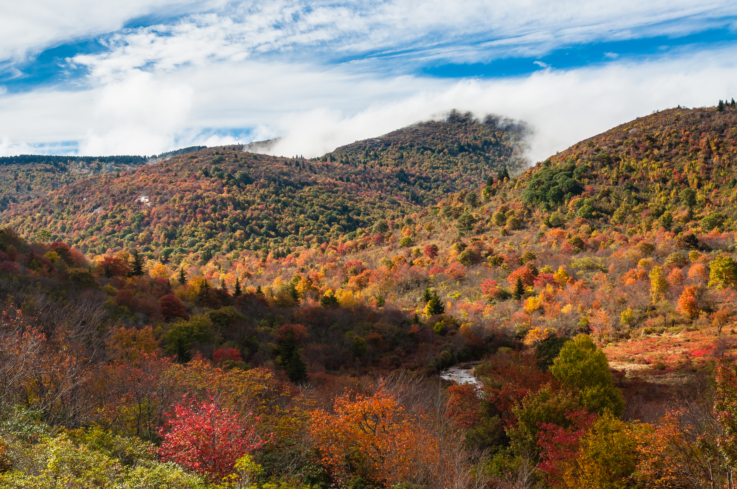 20131007-_DSC0098.jpg