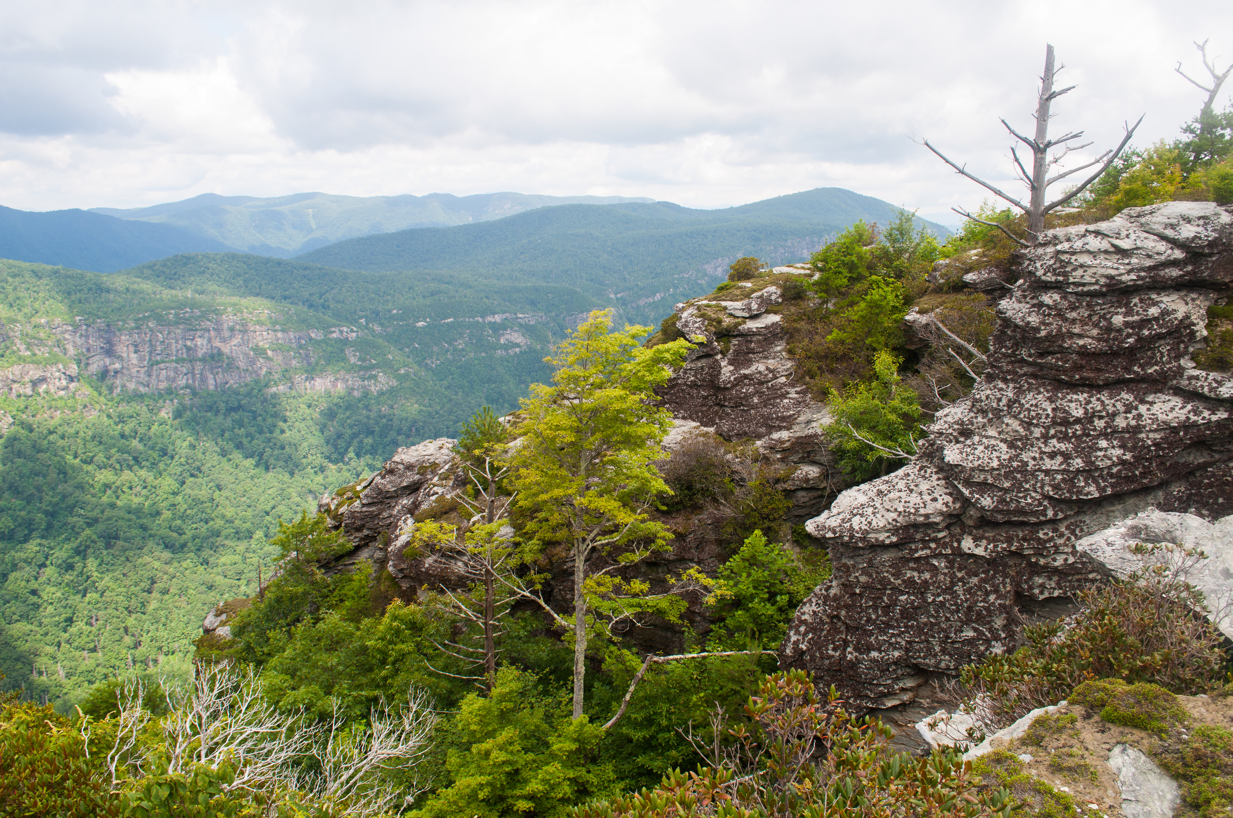 20130722-20130722-_DSC2709-2.jpg