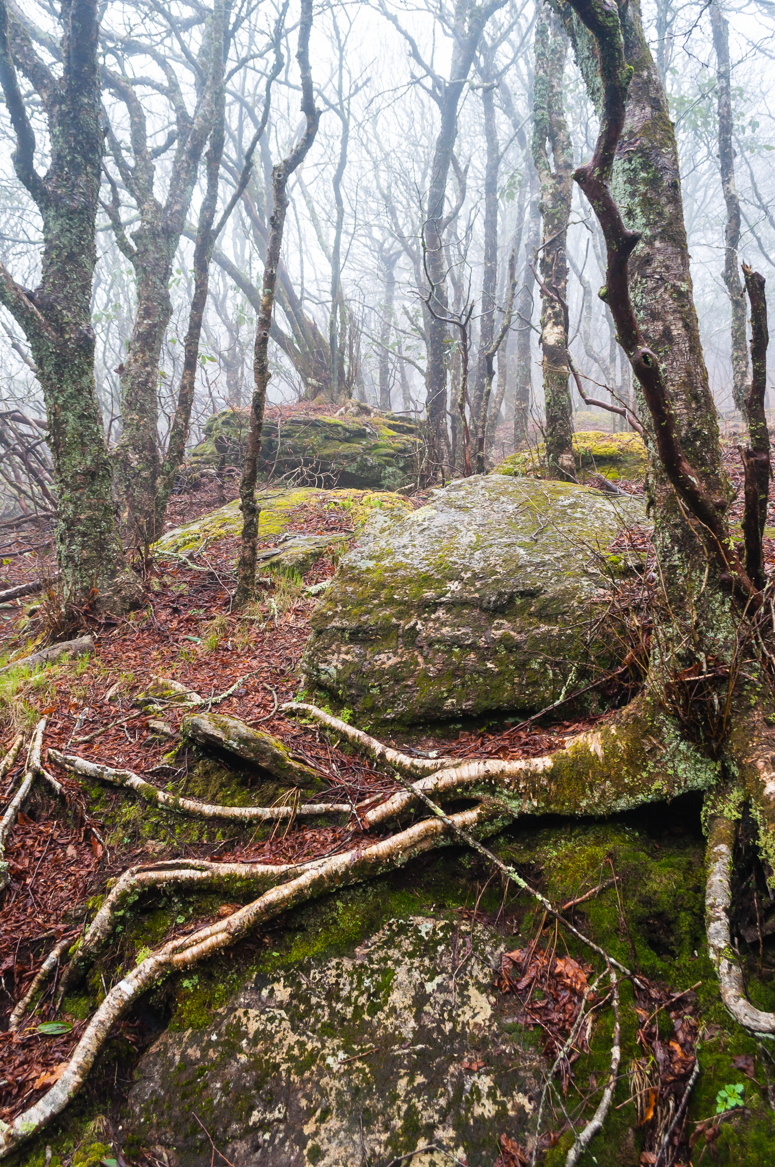 20130504-_DSC2061.jpg