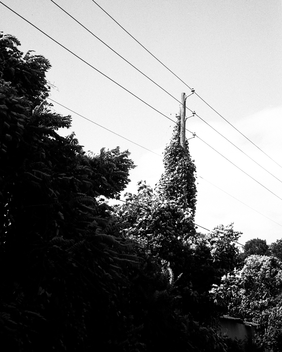 20170710-57010035.jpg