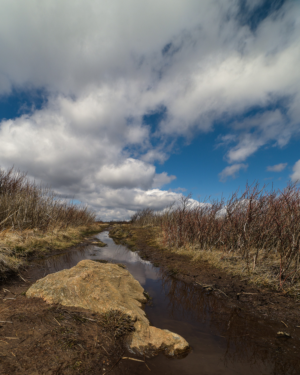 20170328-DSC_4540.jpg