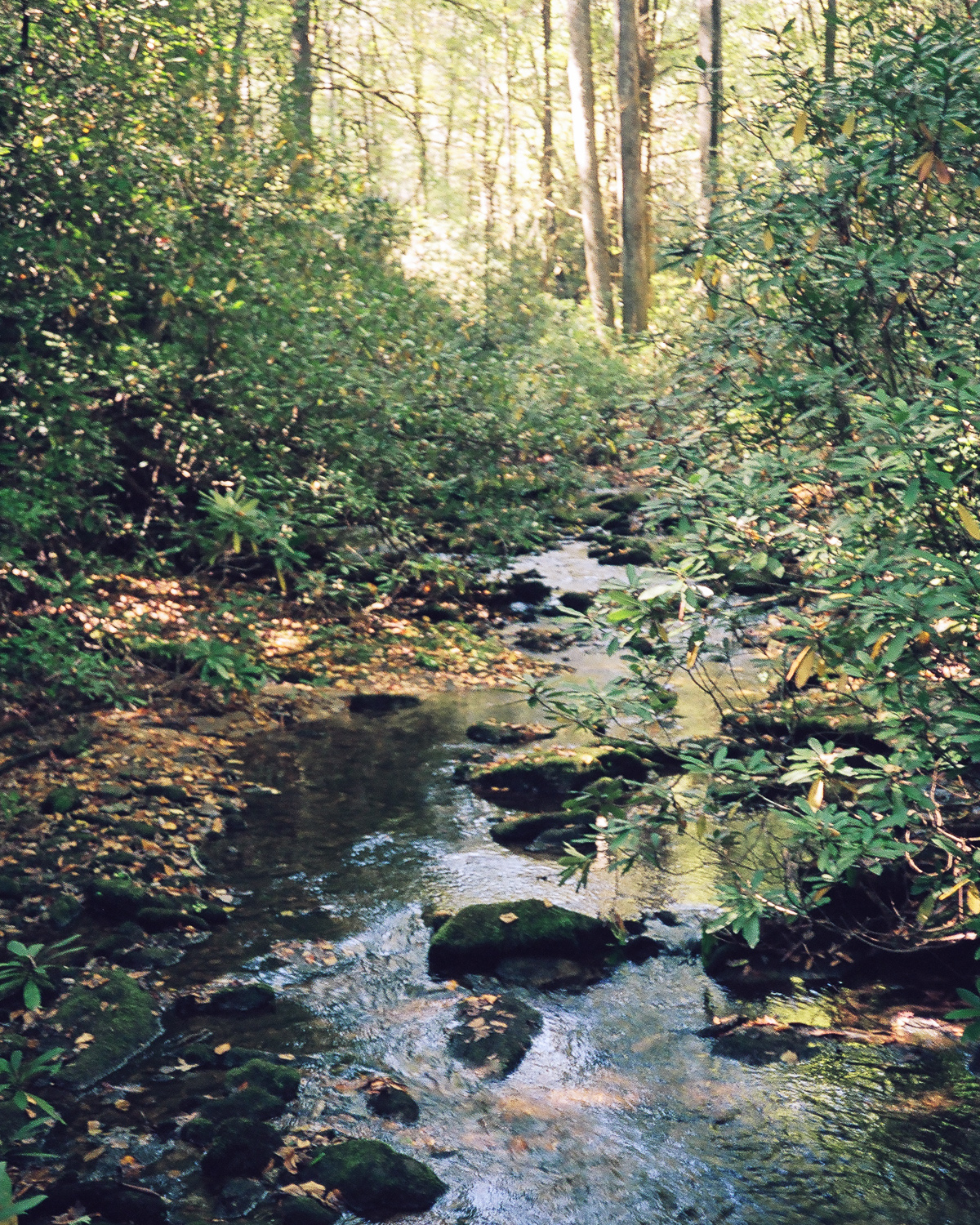 20171011-67230012.jpg