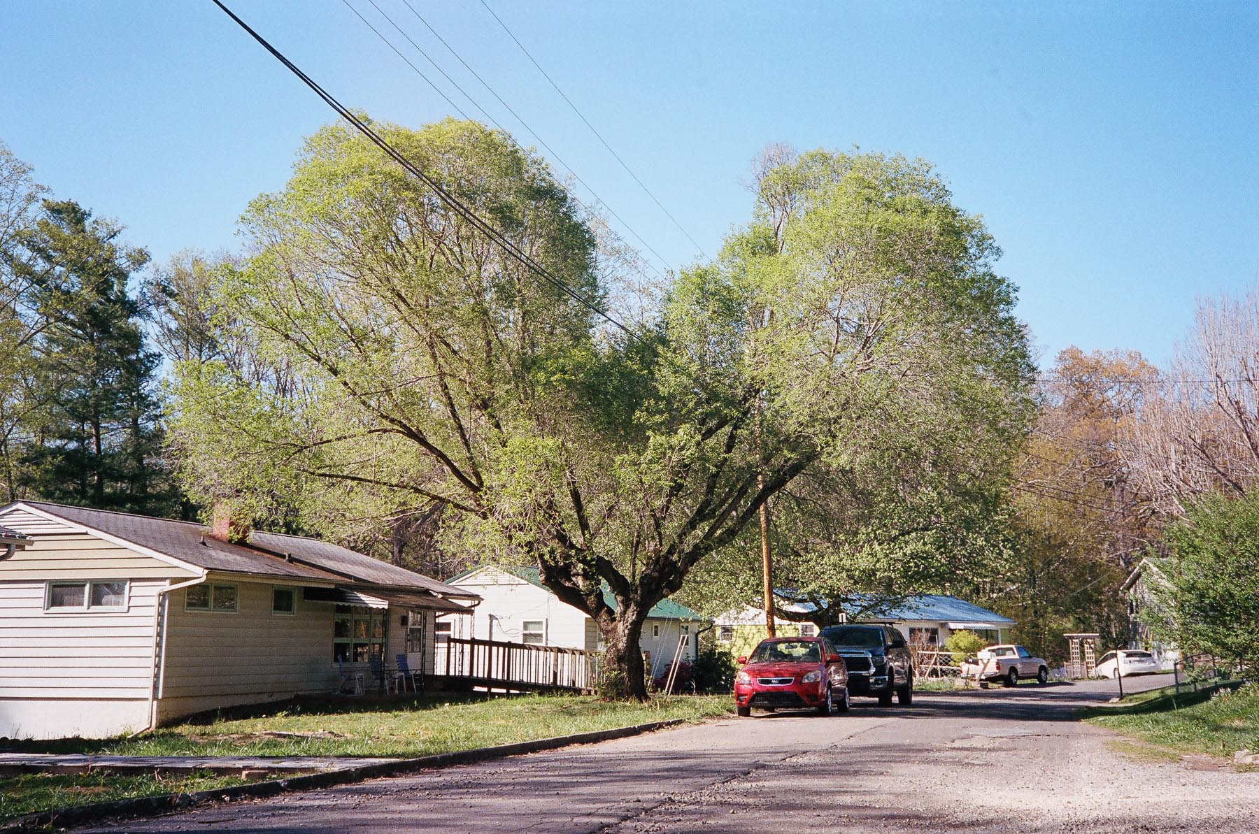 20180505-85540012.jpg