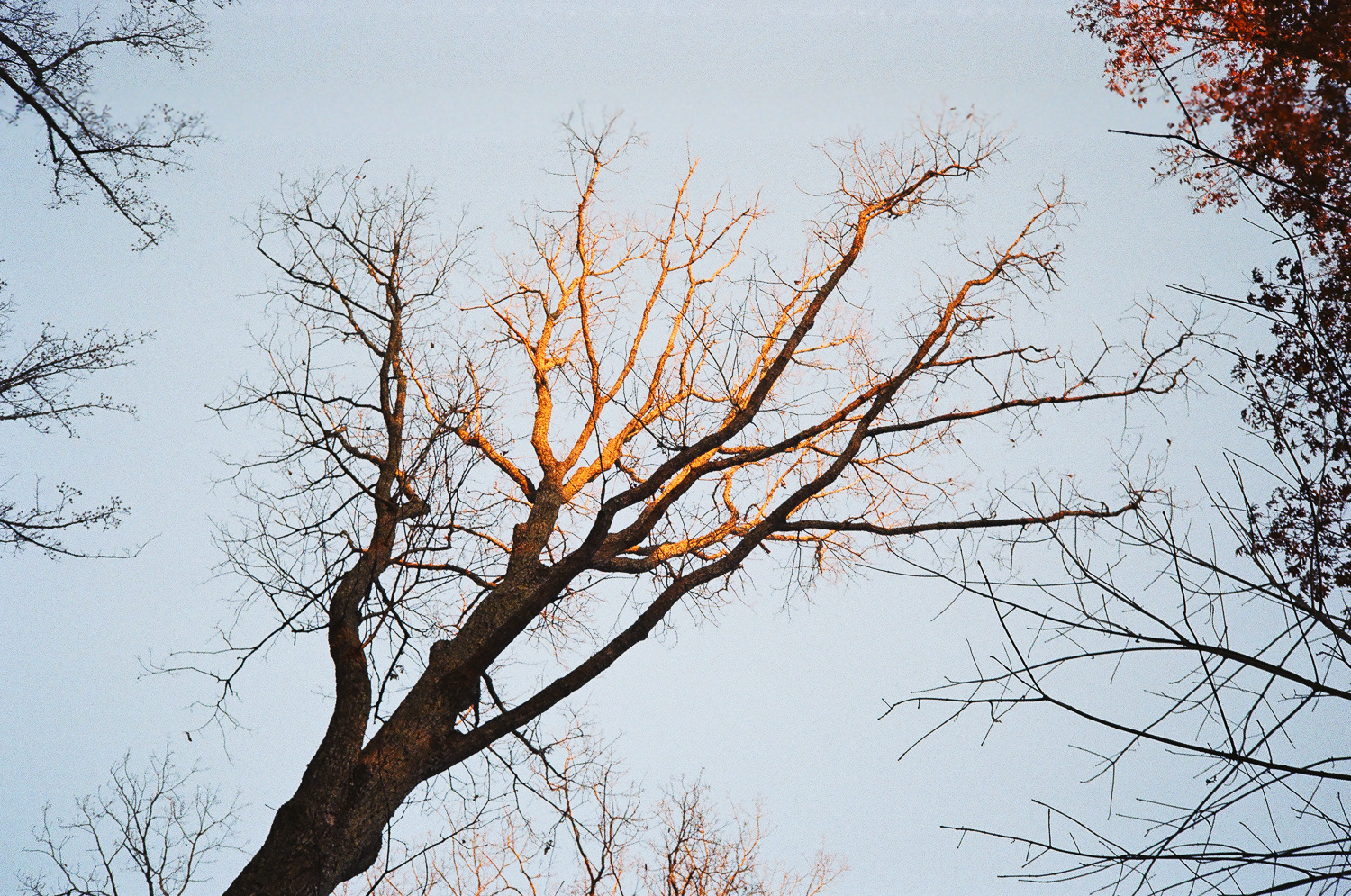 20171206-72660019.jpg