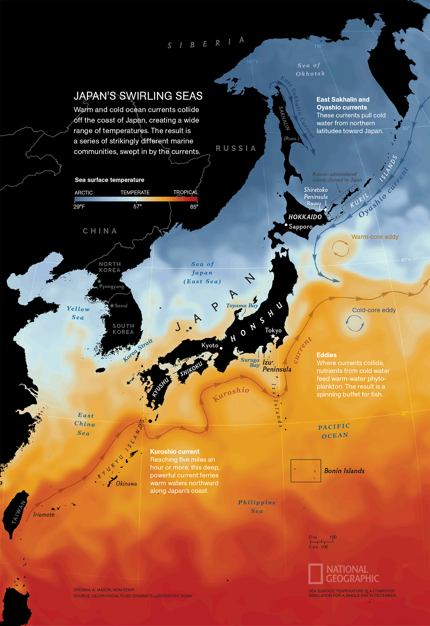 Japan’s Swirling Seas