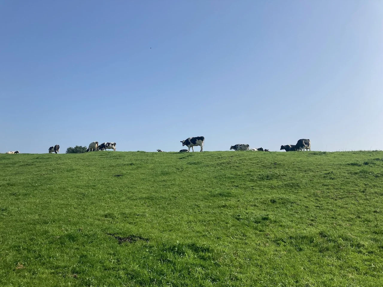 Dales Way Day 2 - 11 of 30.jpeg