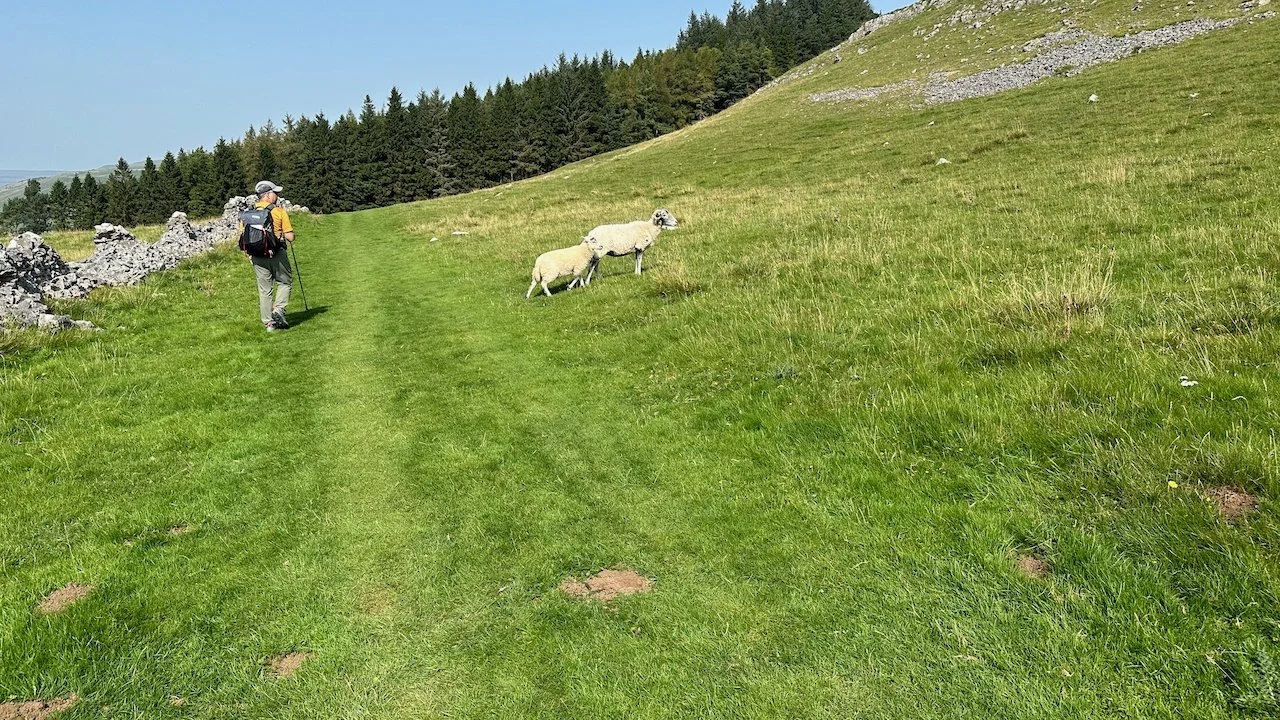 Dales Way Day 2 - 18 of 30.jpeg