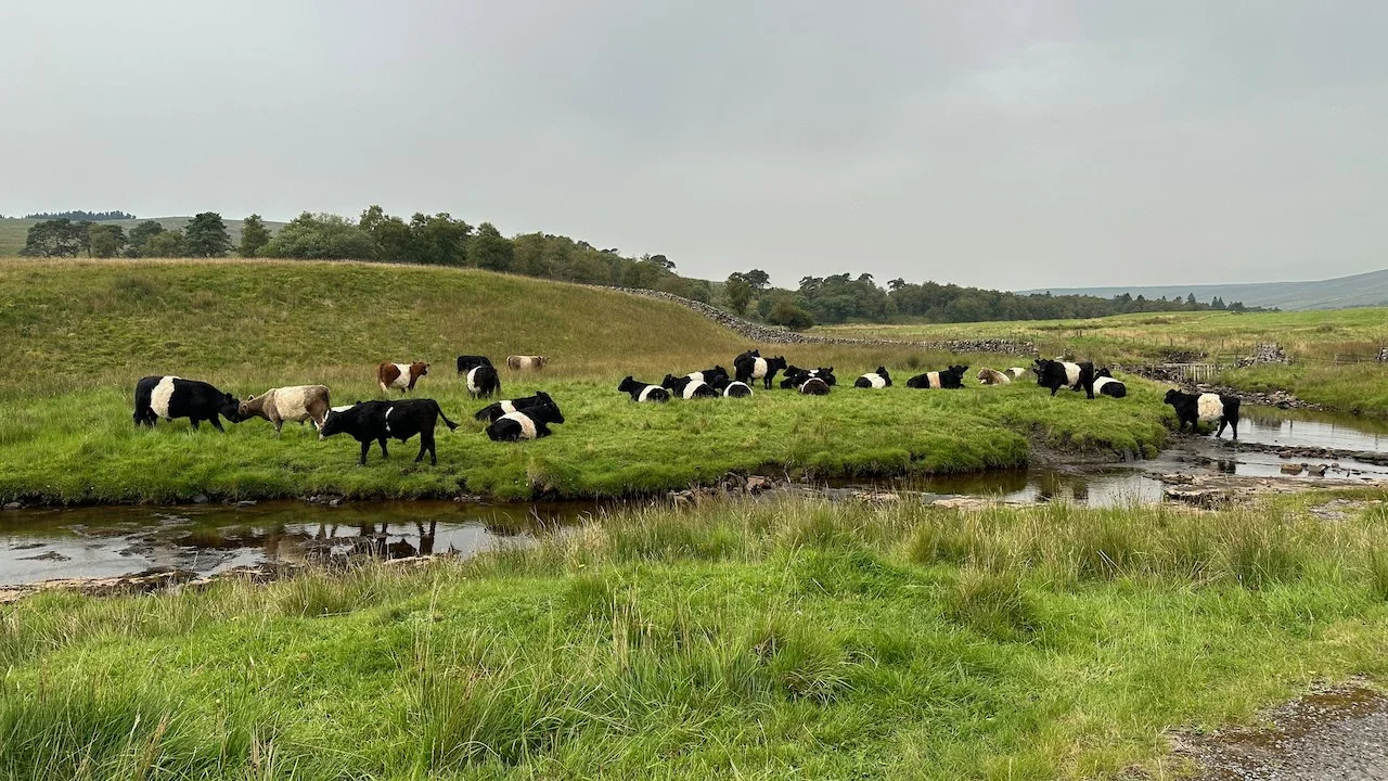  The River Wharfe transitions to Oughtershaw Beck. 