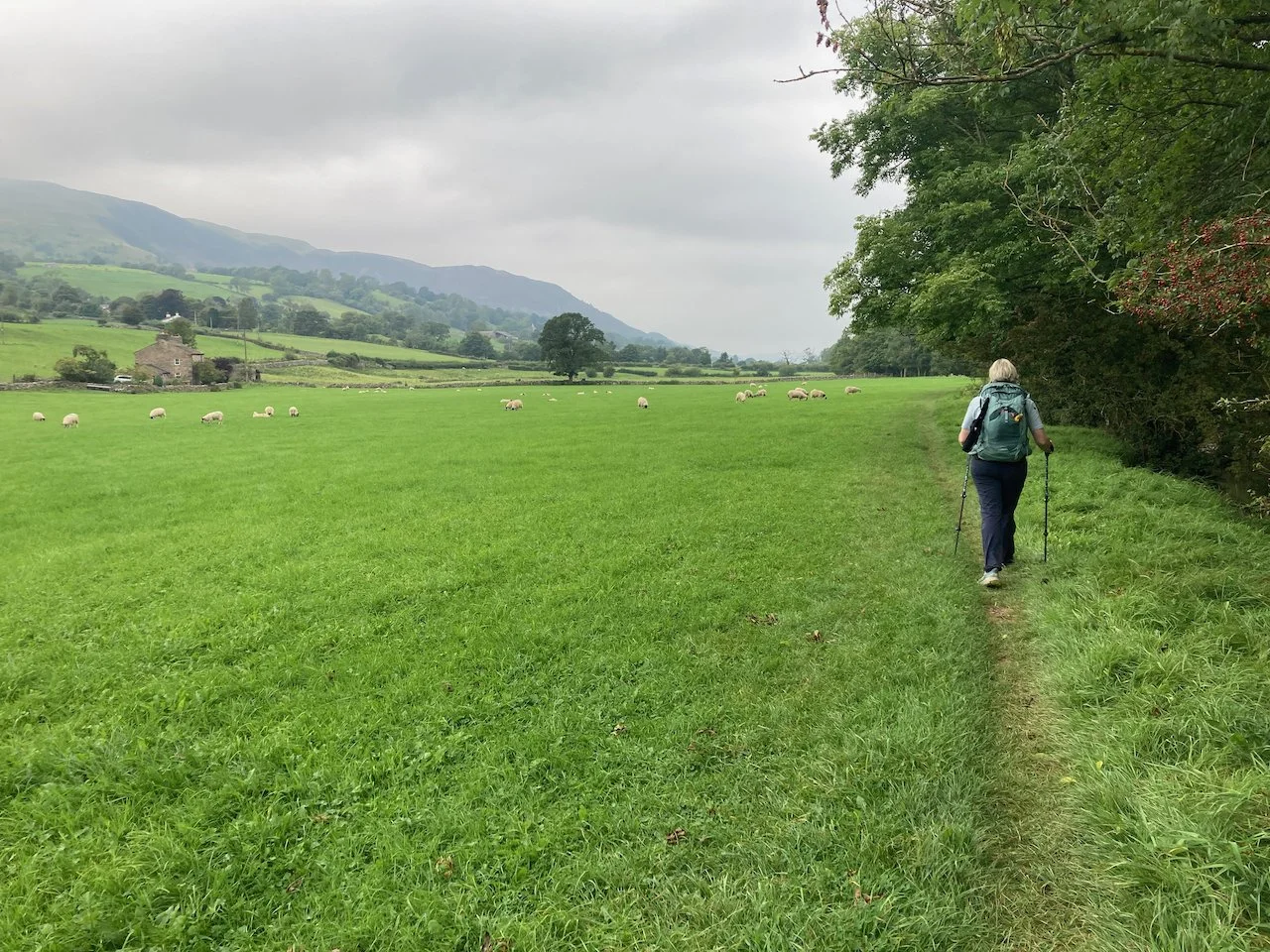 Dales Way Day 5 - 3 of 16.jpeg