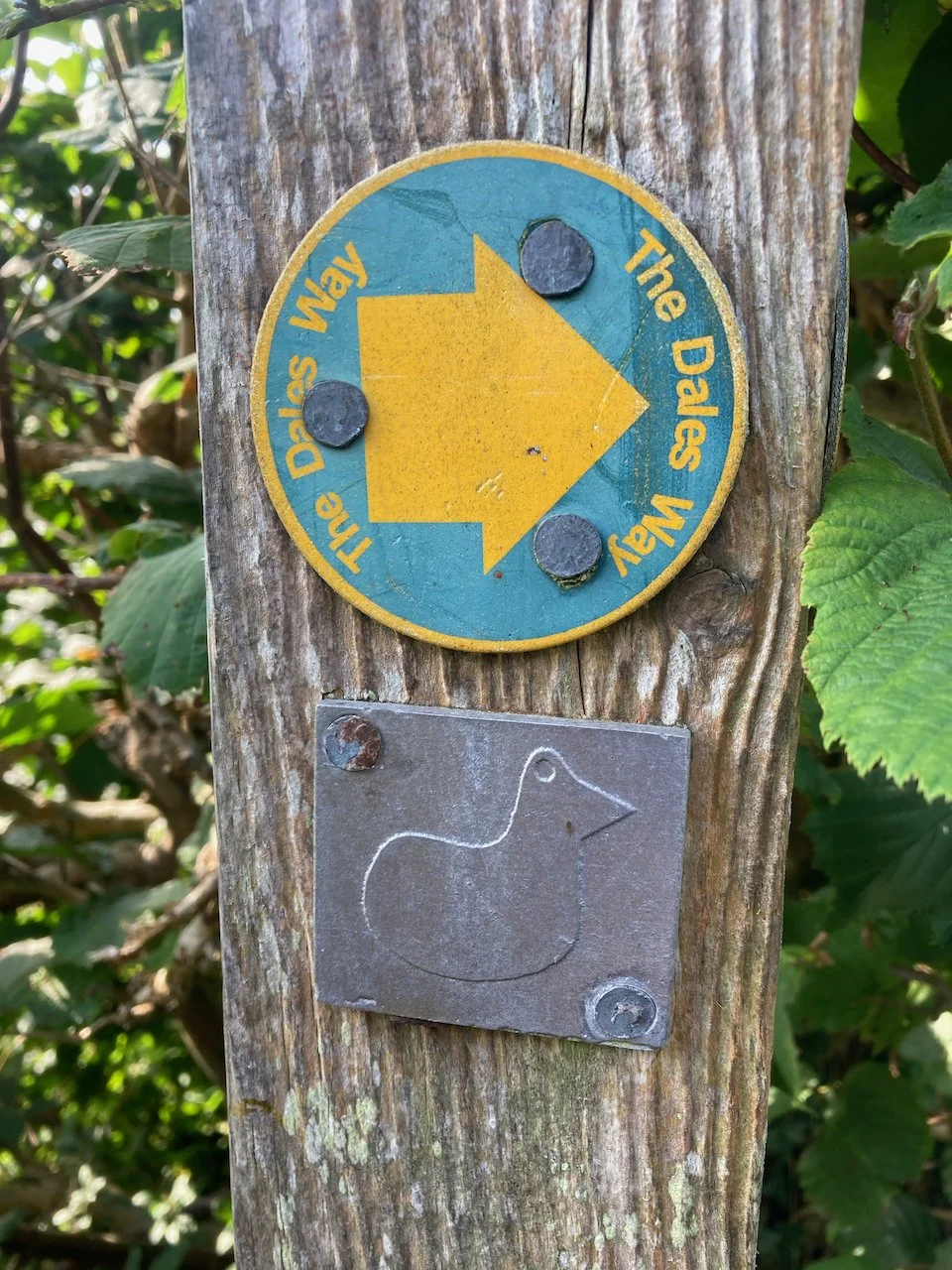 Dales Way Day 6 - 2 of 29.jpeg