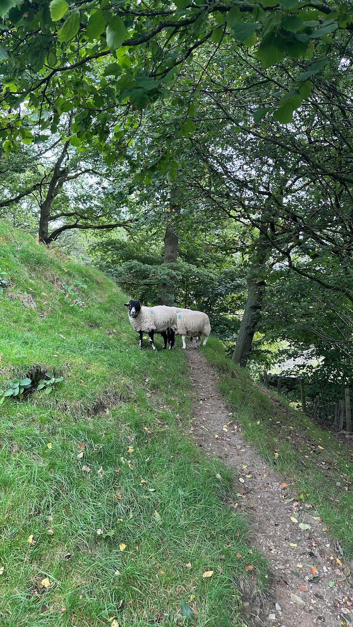 Dales Way Day 6 - 17 of 29.jpeg