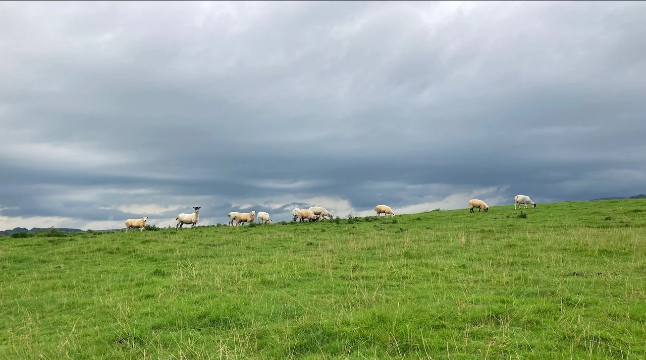 Dales Way Day 6 - 27 of 29.jpeg