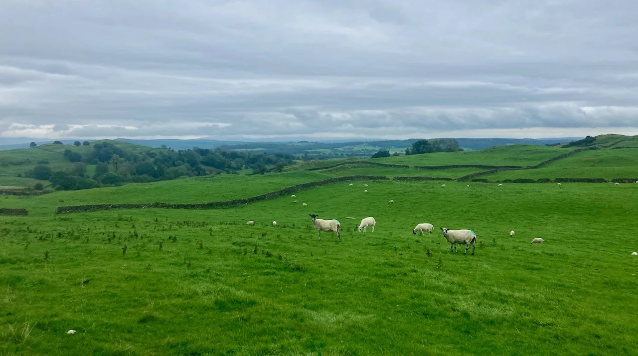 Dales Way Day 7 - 10 of 21.jpeg