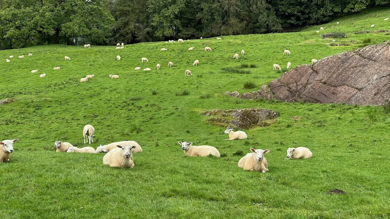 Dales Way Day 7 - 17 of 21.jpeg