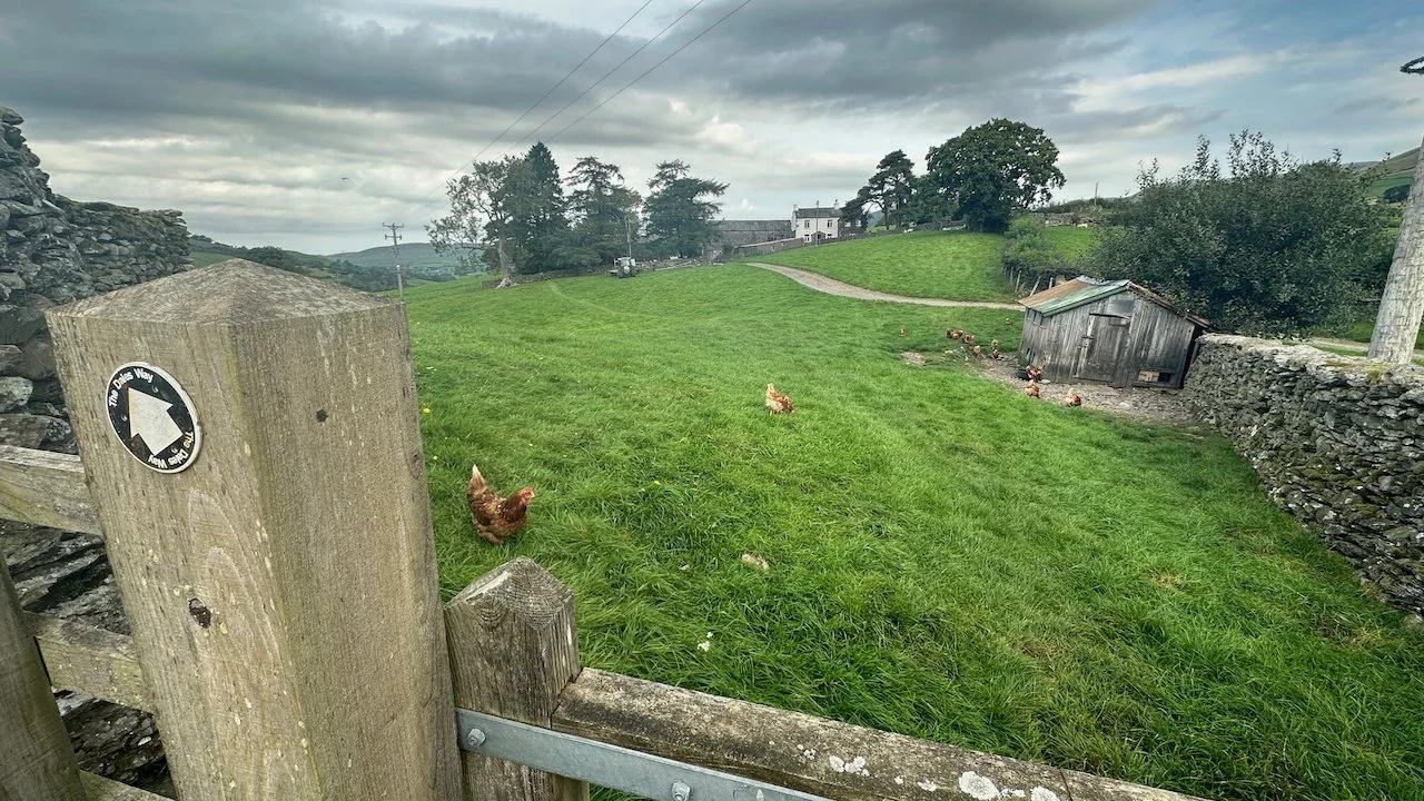  Bramaskew Farm. The only chickens we saw on the trail.  