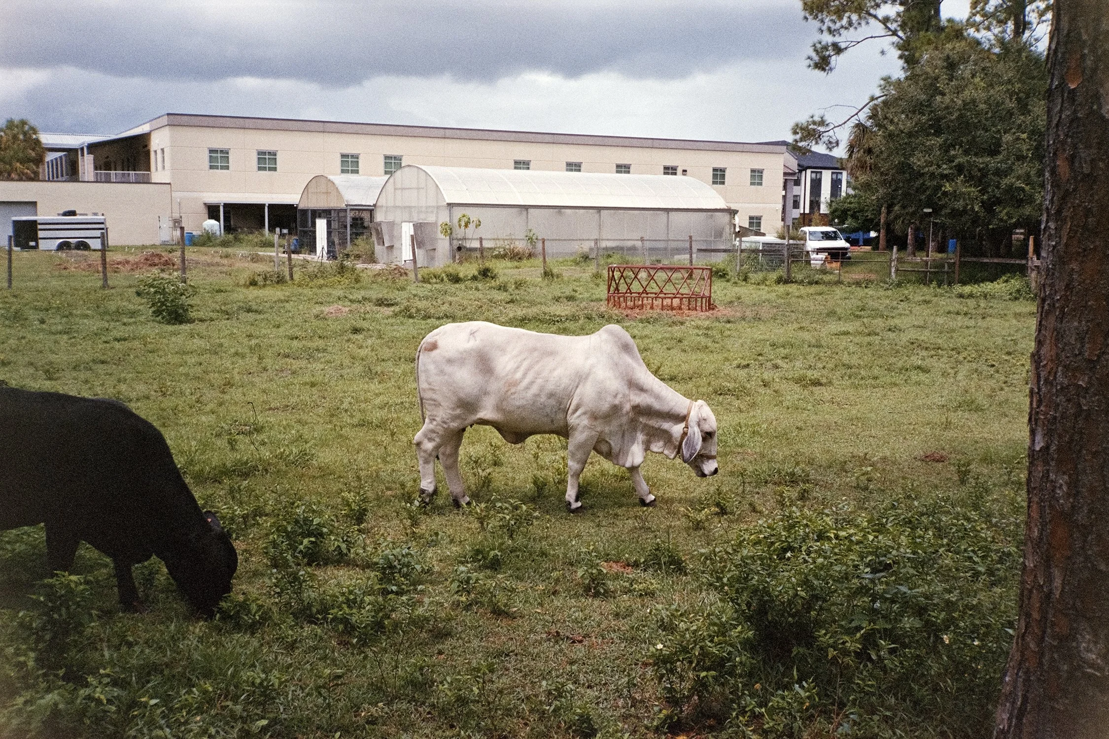 02_0323_img_028_Web.jpg