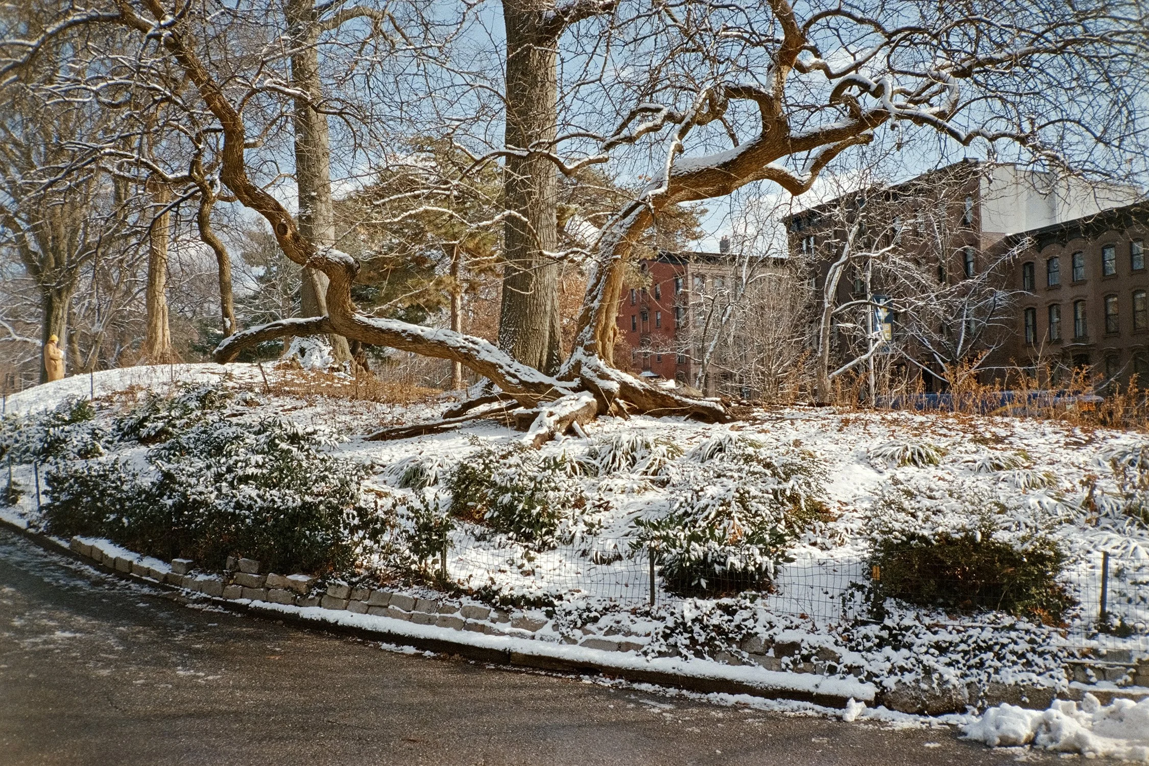 02_0337_img_034_Web.jpg