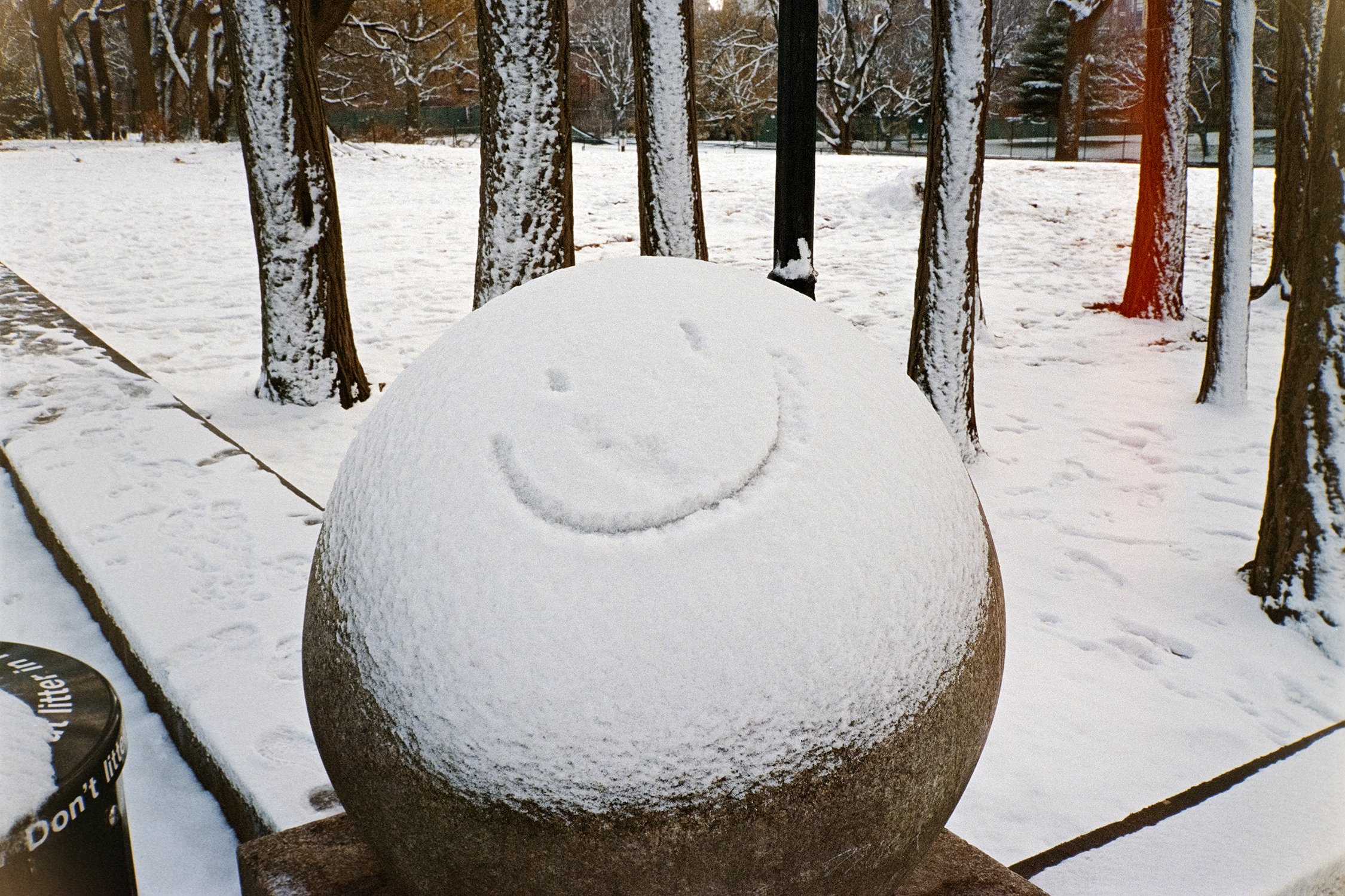 02_0336_img_001_Web.jpg