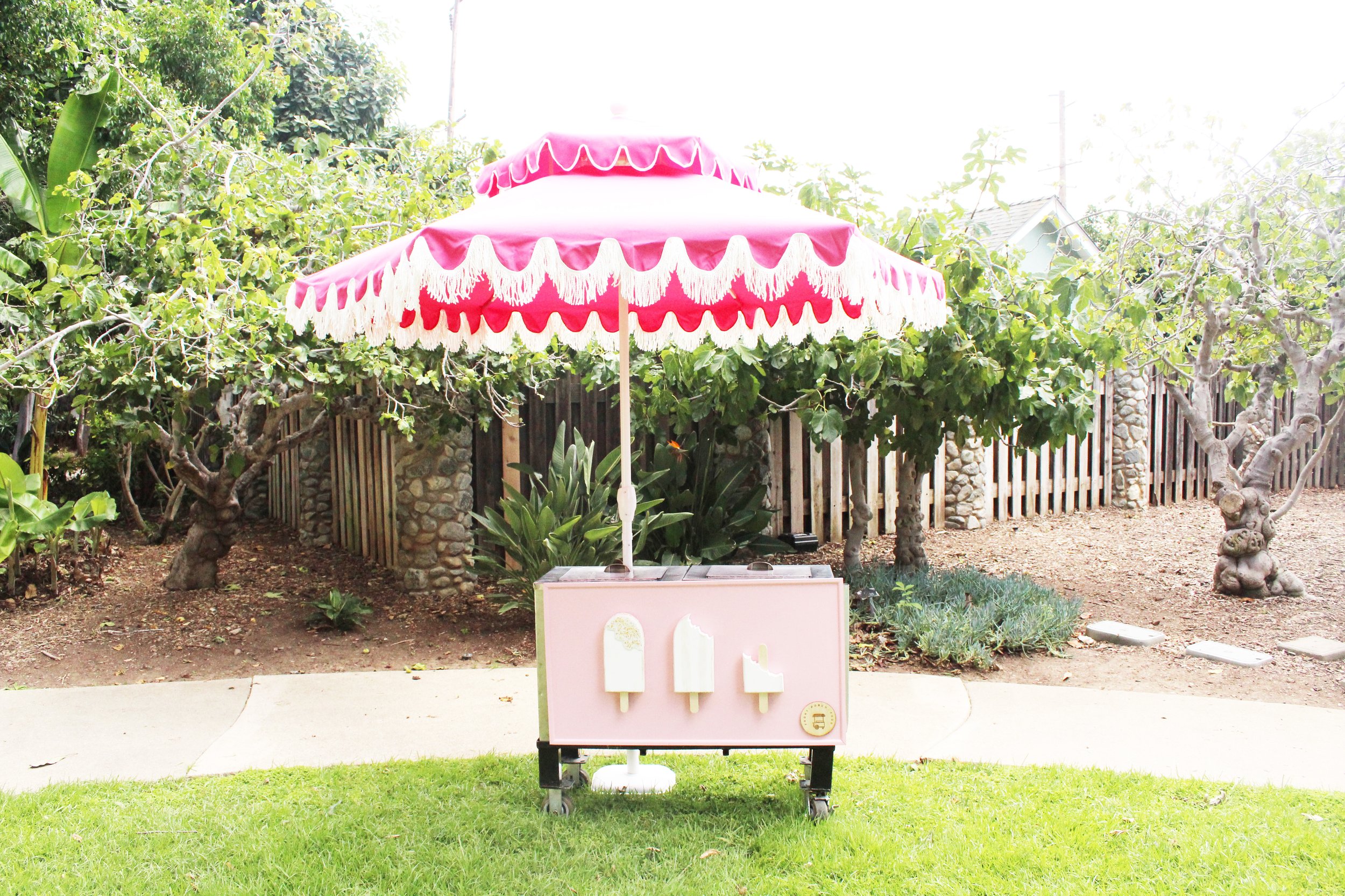 pink cart wide.jpg