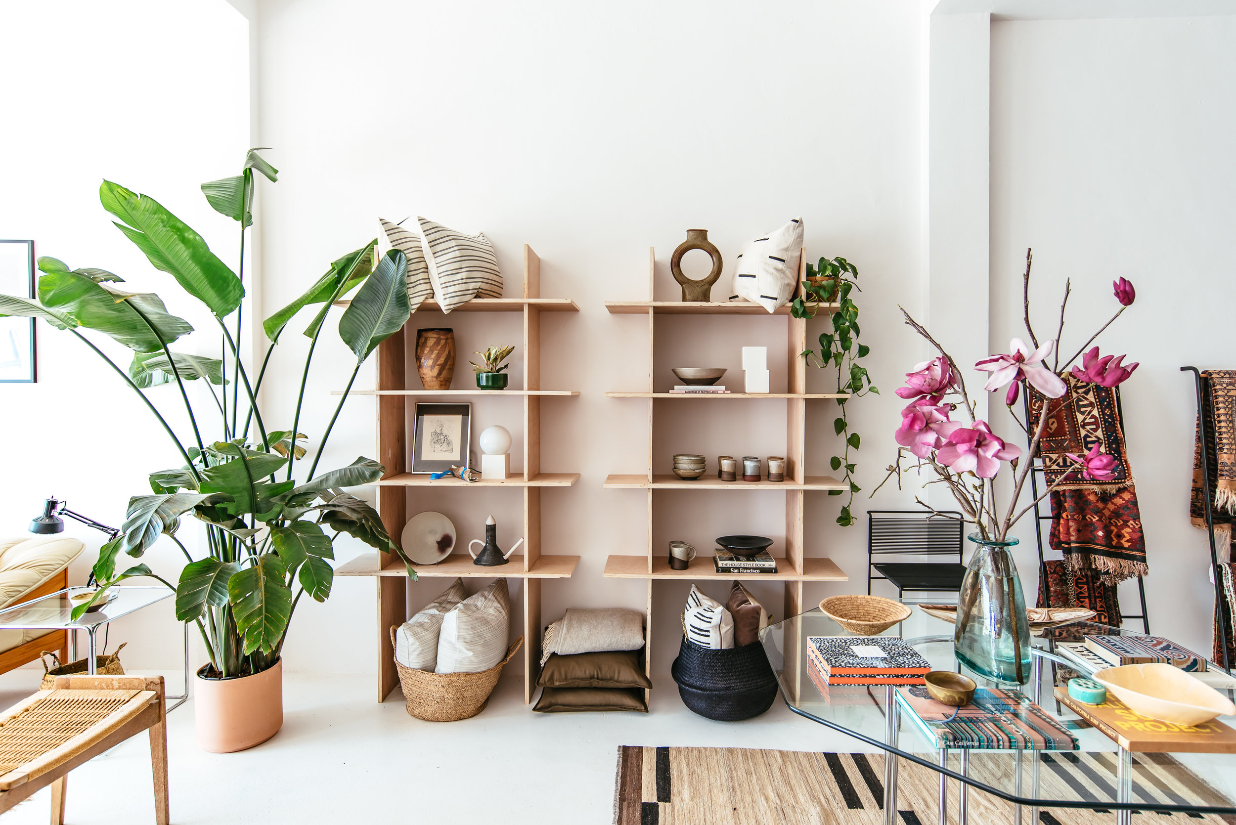 Field Theory Shop interior with open wooden shelving, home décor, plants, and styling accessories
