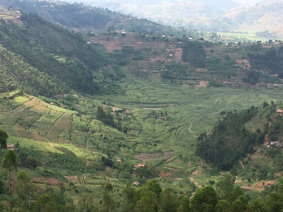 Rwanda is incredibly beautiful by the way