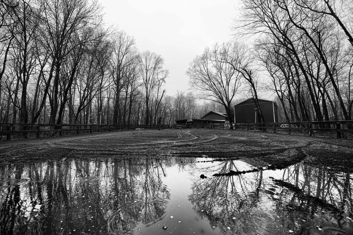 DSC_1680.jpg