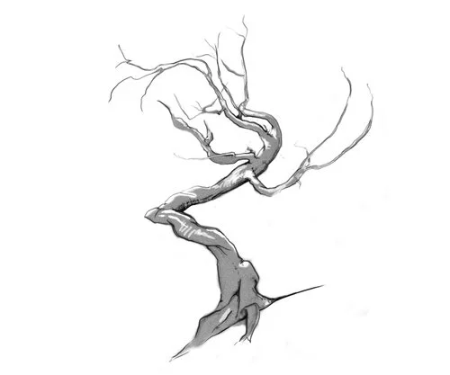 book_illustration_tree.jpg