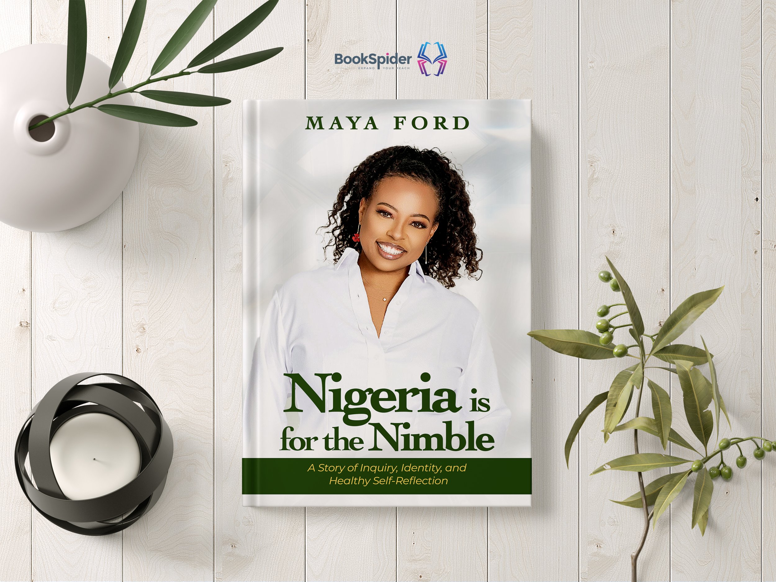 Updated Book Cover - Nigeria is for the Nimble.jpg