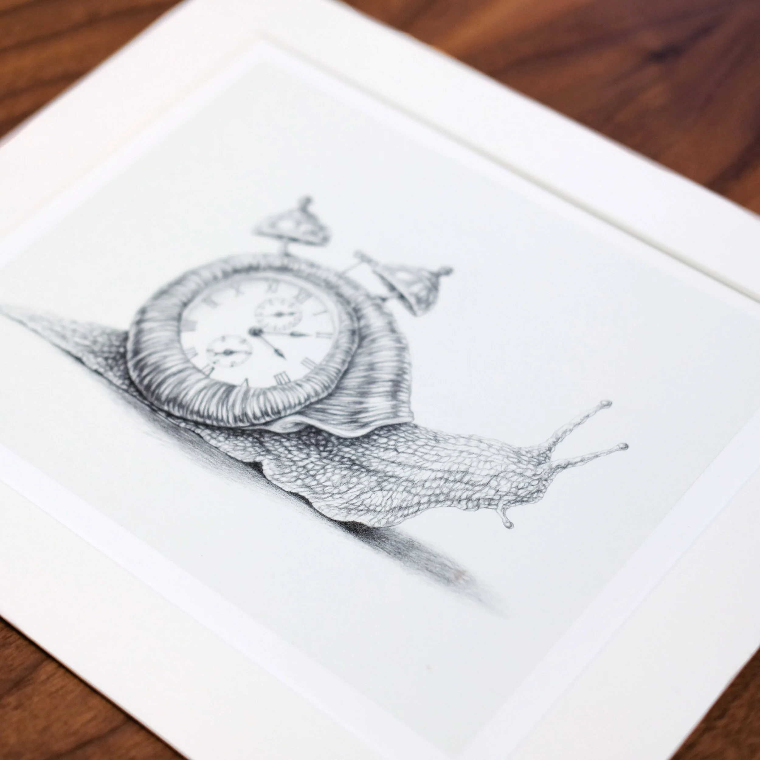 Mattedart-14-2.jpg