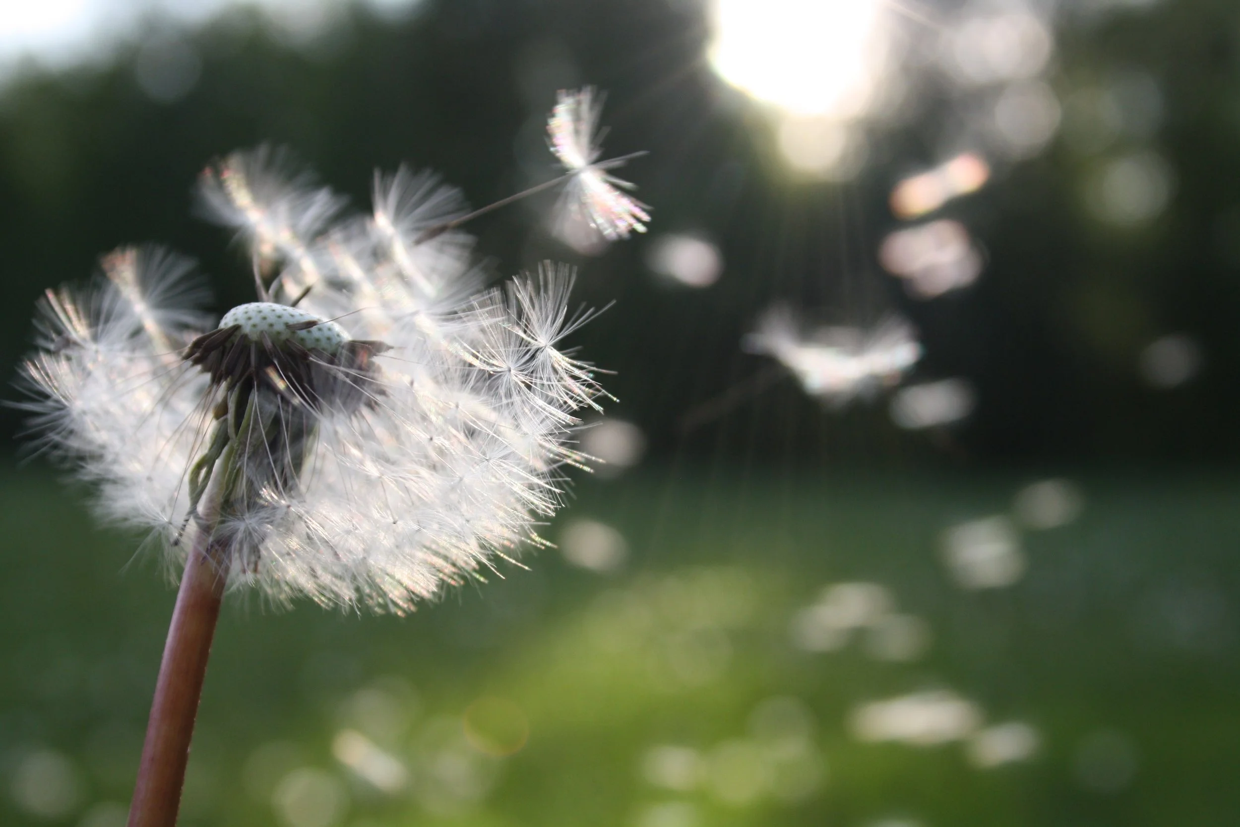 Minimum Viable Impact
