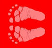 Baby feet.jpeg