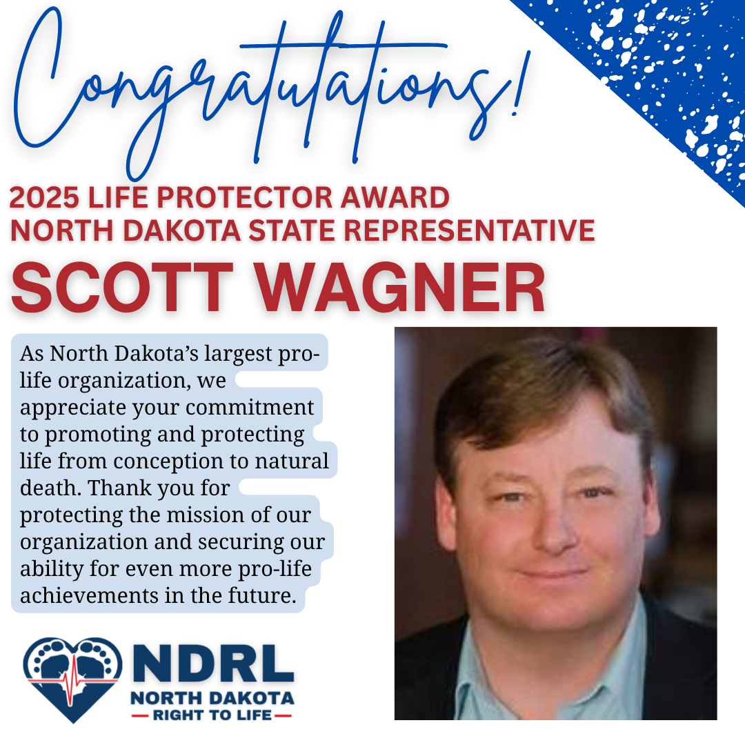 2025 Life Protector - 2026-04-20T083858.725.png