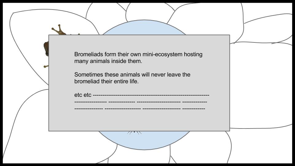 Bromeliad Ecosystem Game Idea (30).jpg