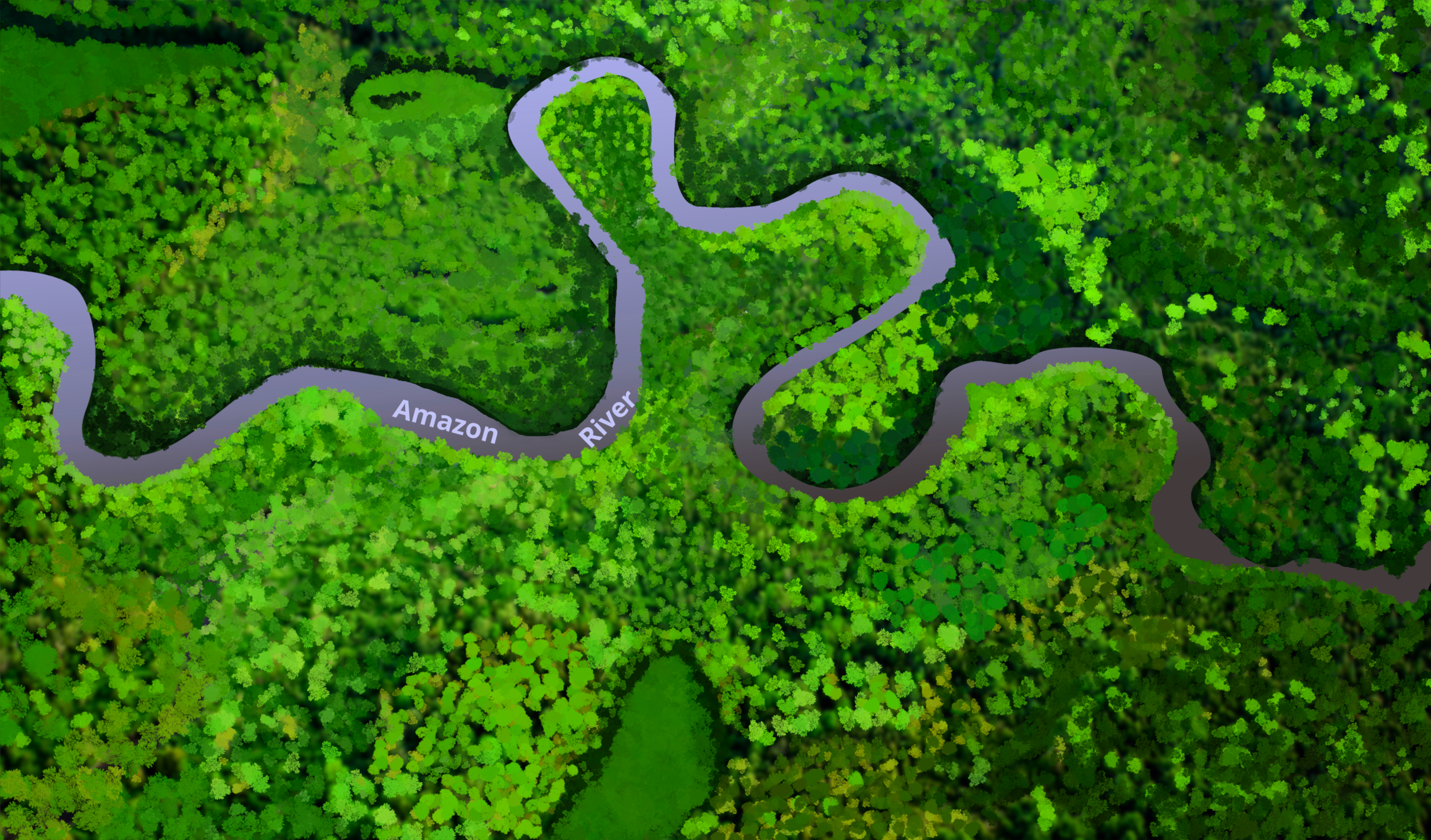 localmap-amazon rainforest - 0506.png