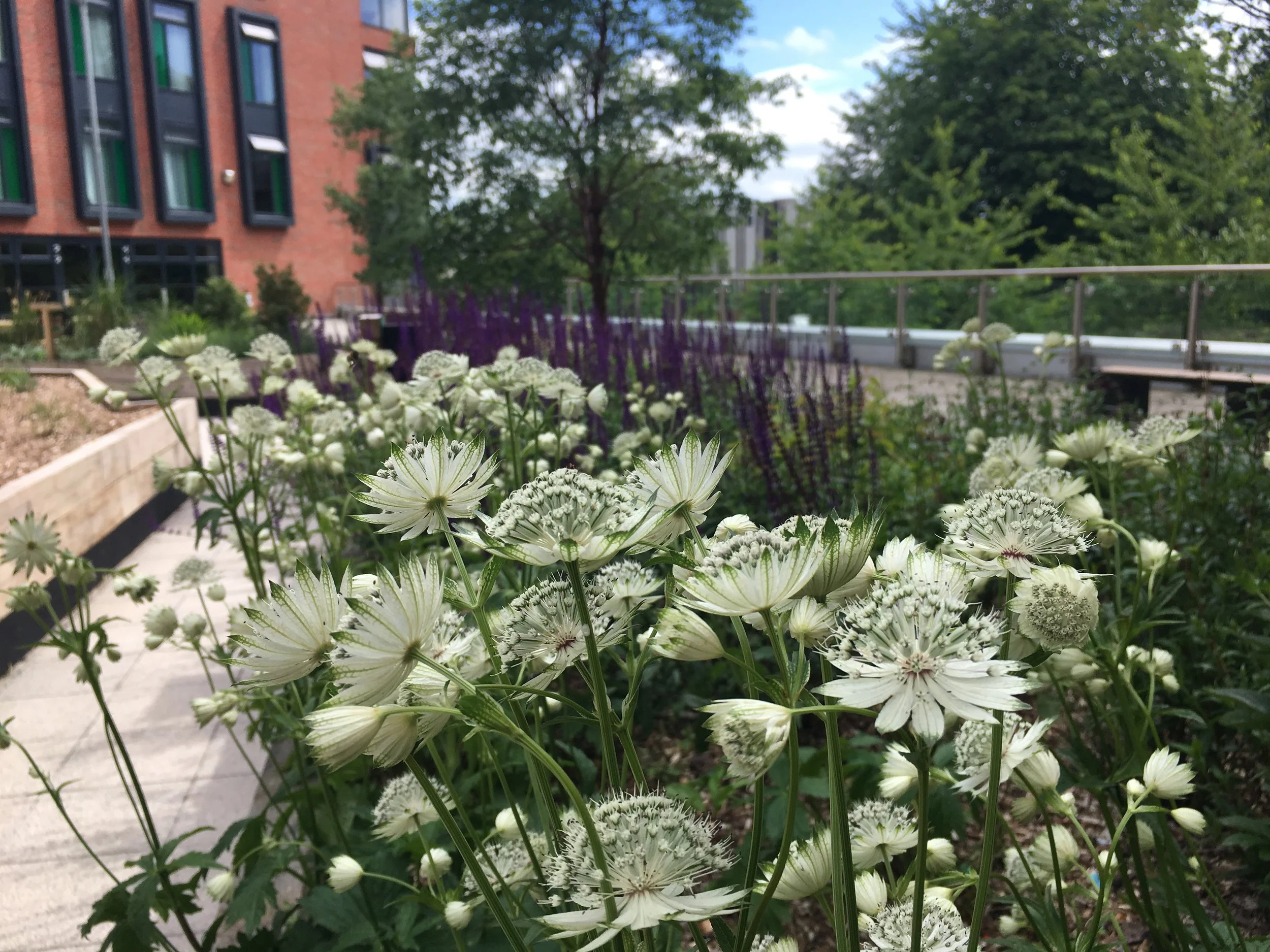 Winning NUS Platinum Award for university scheme