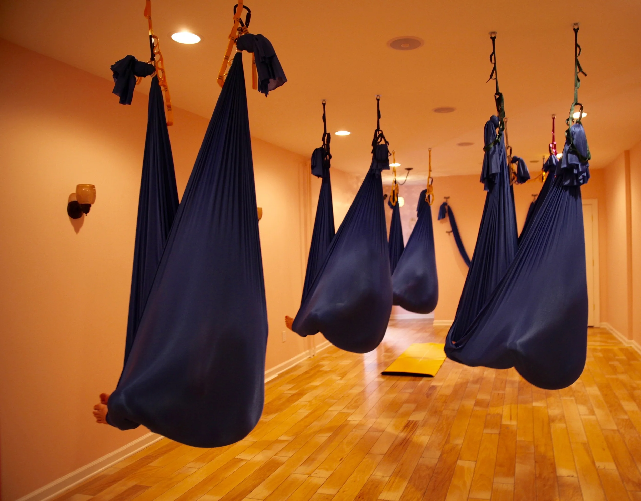 Aerial Fundamentals Workshops - January 2016
