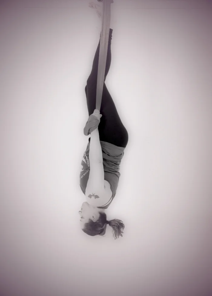 Aerial In Action