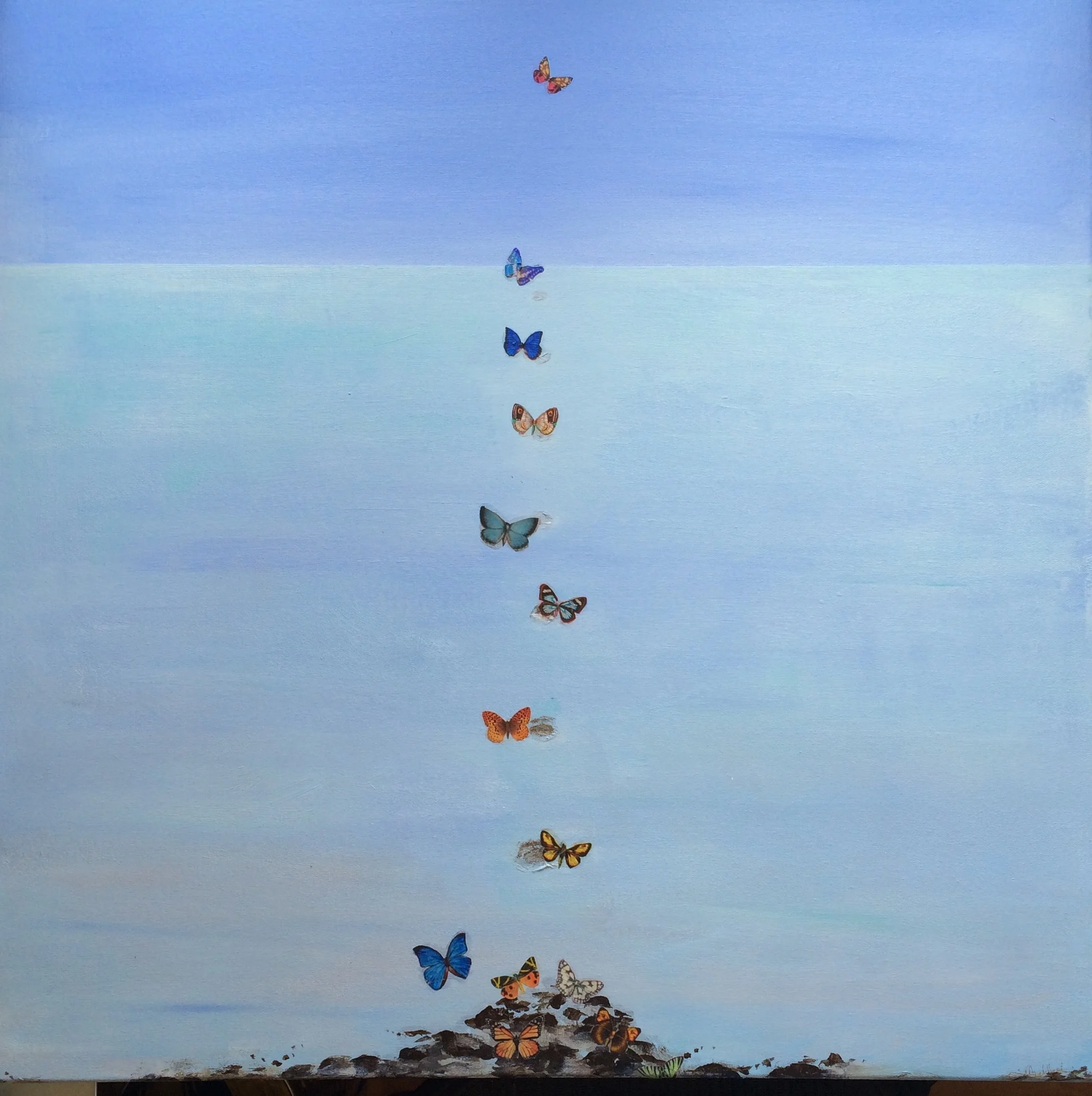 Ocean Butterflies