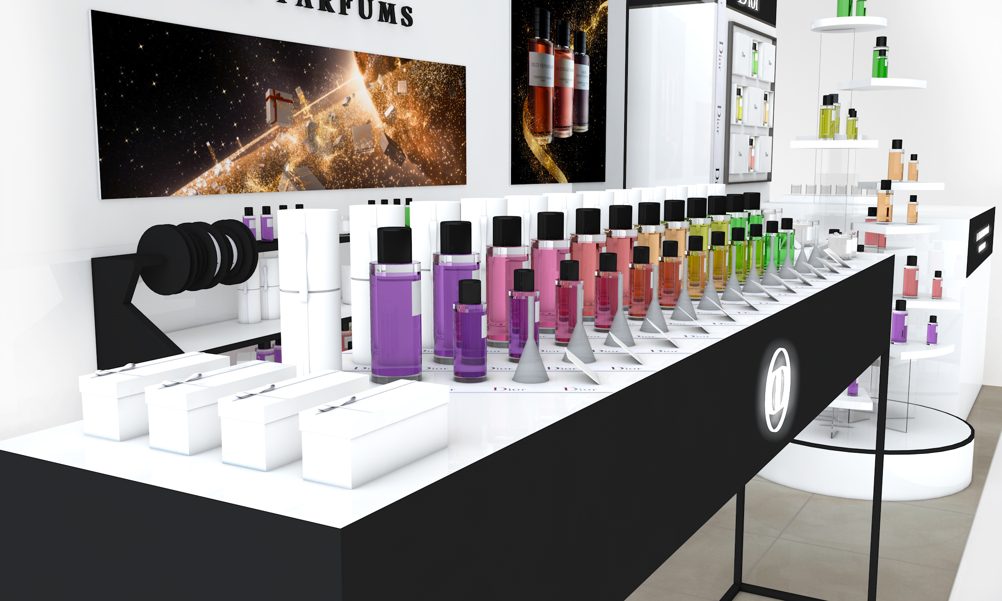 Dior-Mary Site 9.jpg