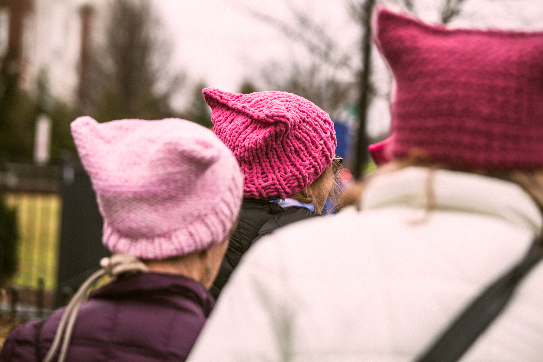 an ocean of varying shades of pink filled the city!
