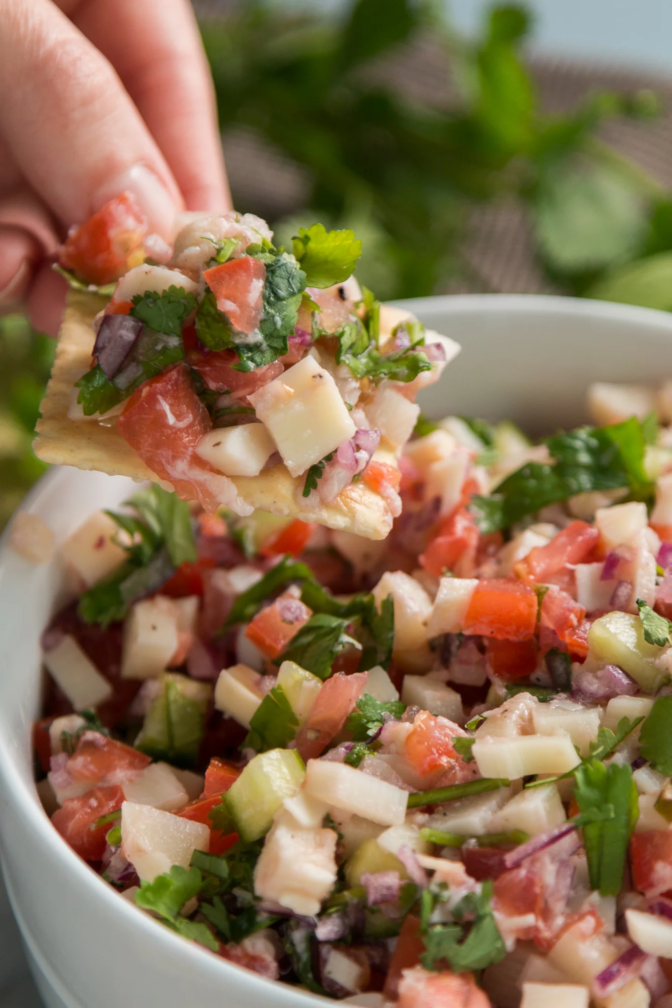 Vegan Ceviche with Hearts of Palm Vegan Kids Nutrition Blog