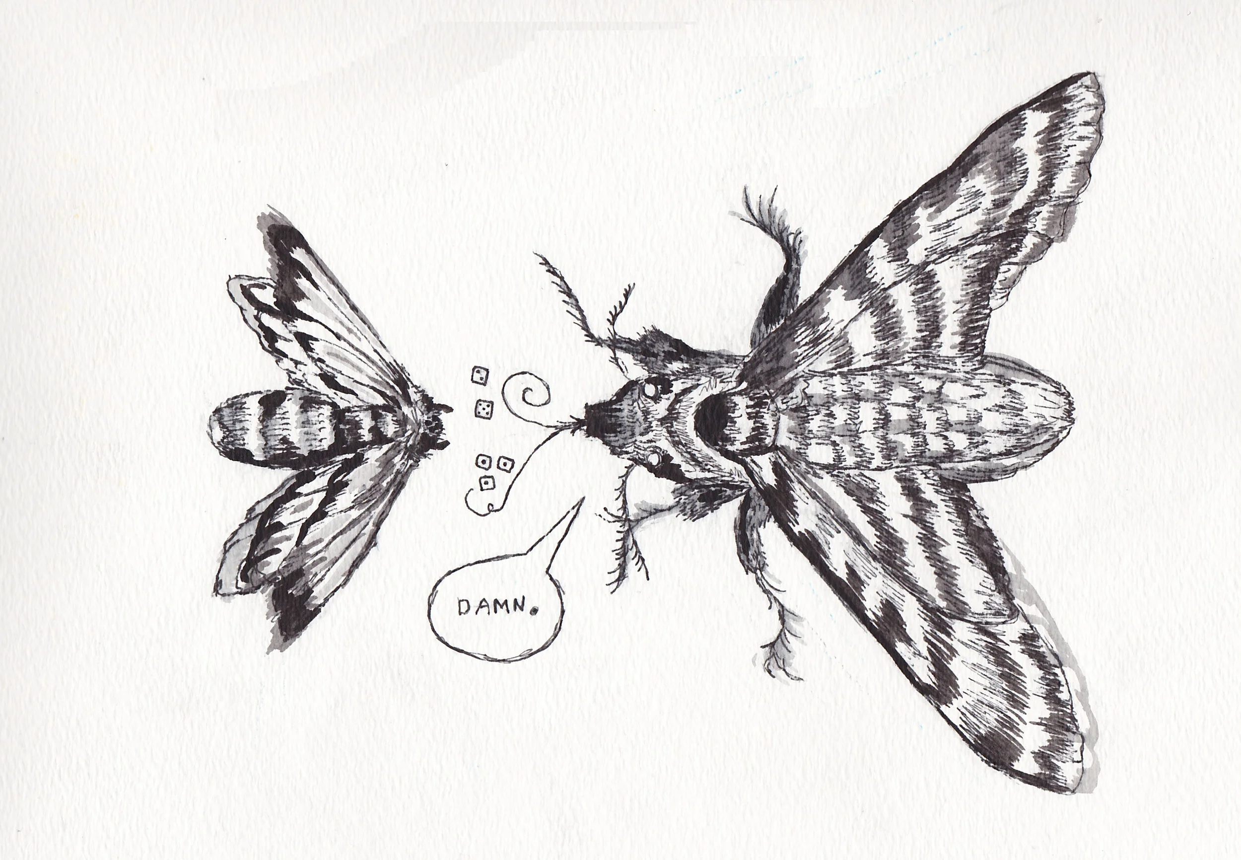 bugs playing dice.jpg