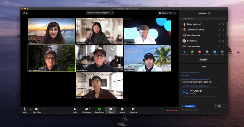 Video Calls