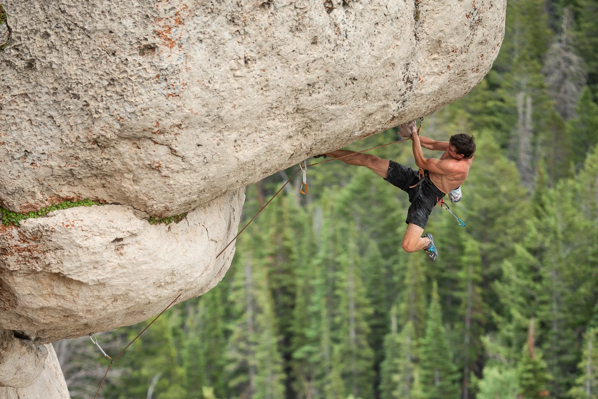 Wild Iris Mountain Sports