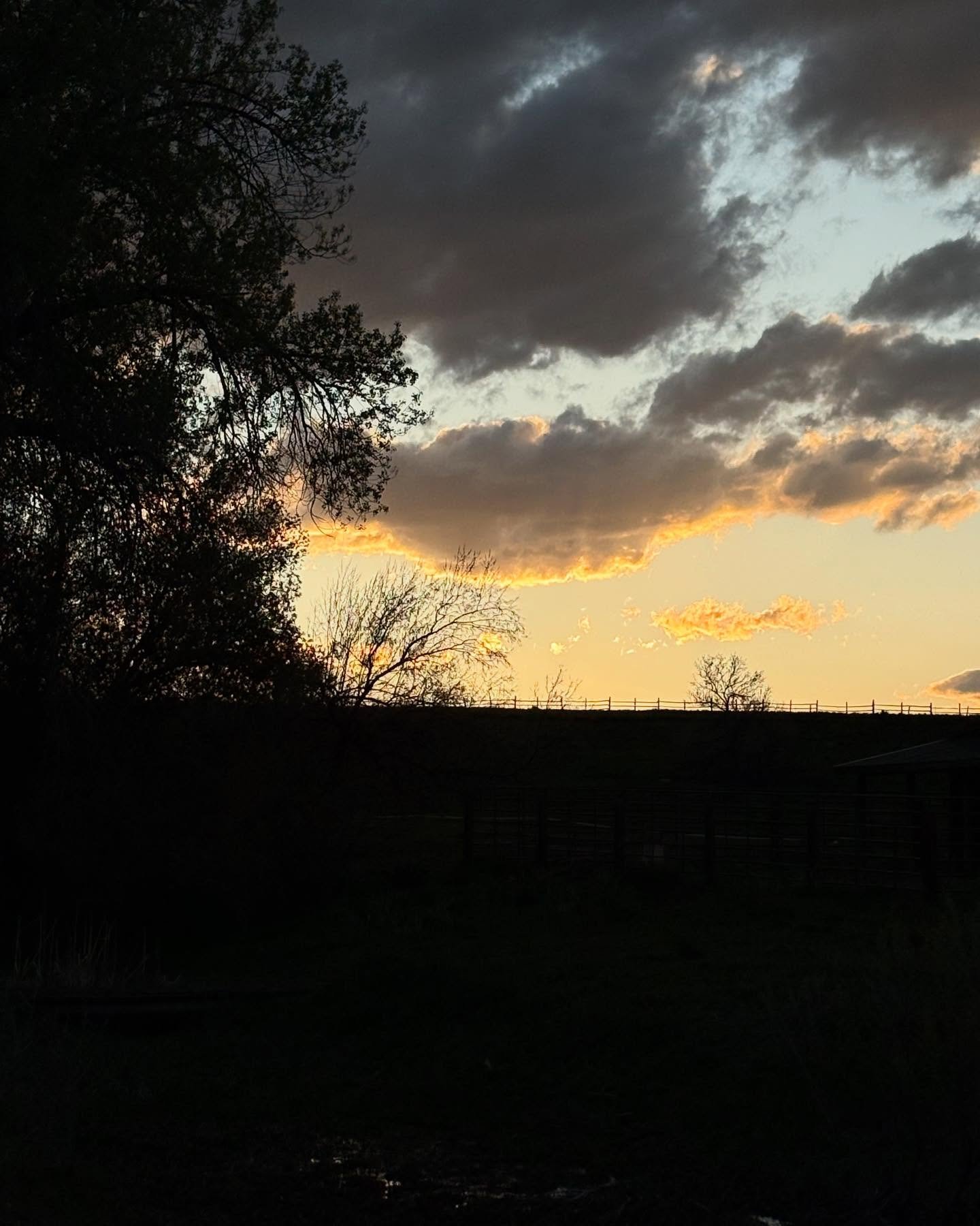 Days are getting longer, summer is on its way! 🎉 Spend the day outside exploring all that Lander has to offer! 
- Photo Credit: Iris Woltman