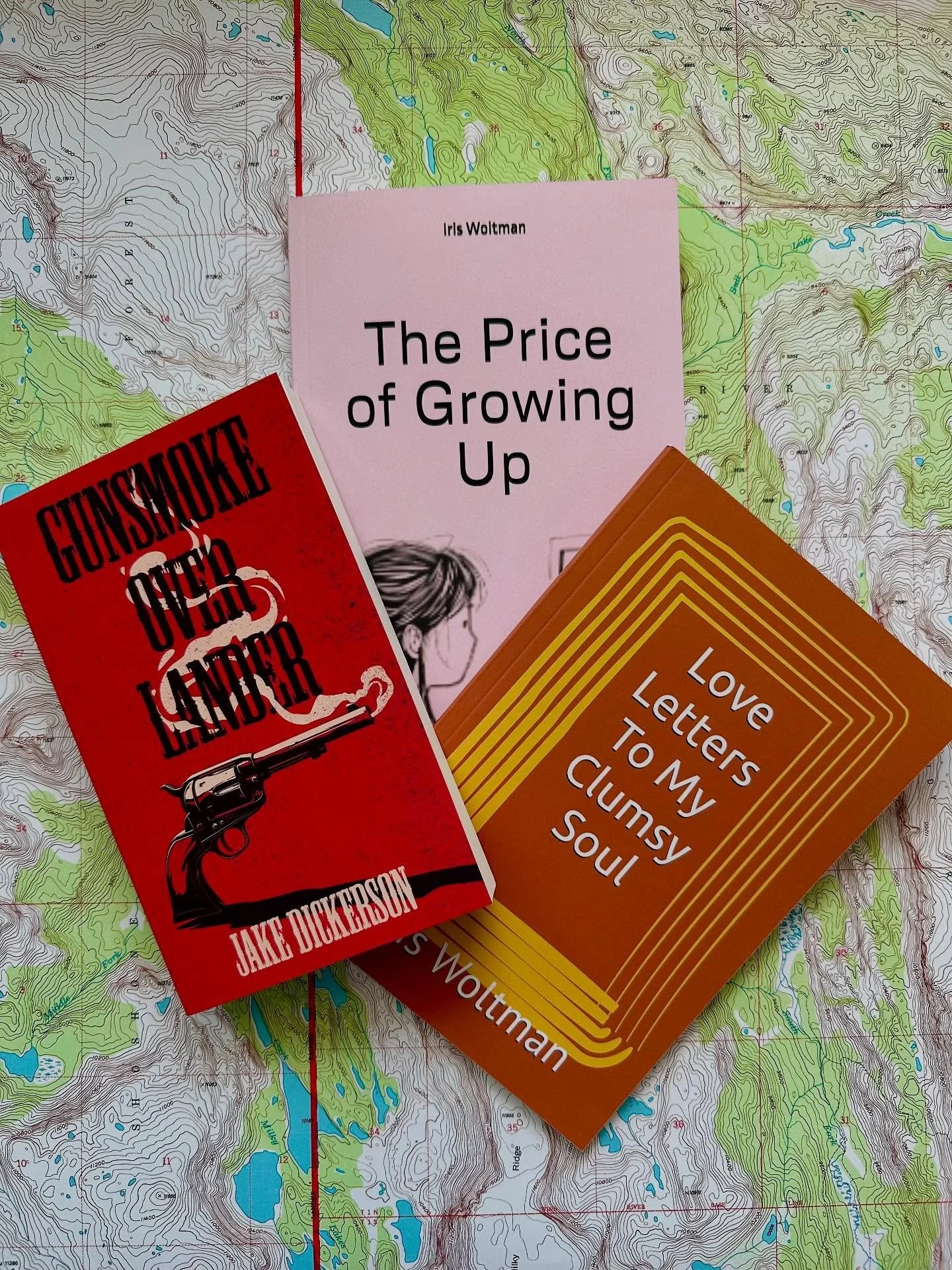 Our staff are SO COOL! You can now find books written by co-owner @thefancy123 and sales associate Iris Woltman here in the store 📚