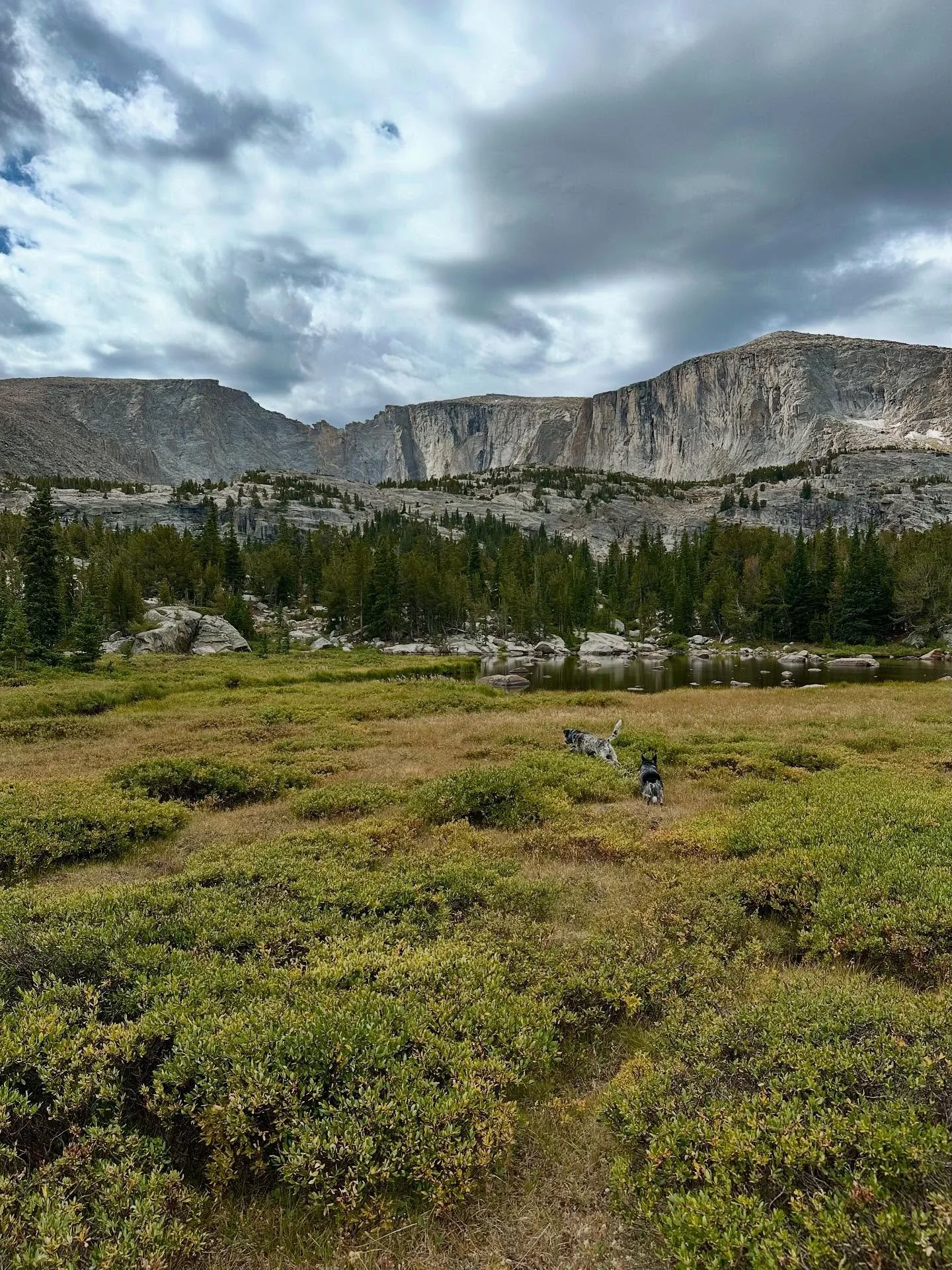What could be better than some pups romping in the mountains?…
OUR LABOR DAY SALE!
More details to come, but here are some things to expect: discounts on climbing, clothing (tiered), hardgoods, footwear, and camping.
Starting Friday, August
