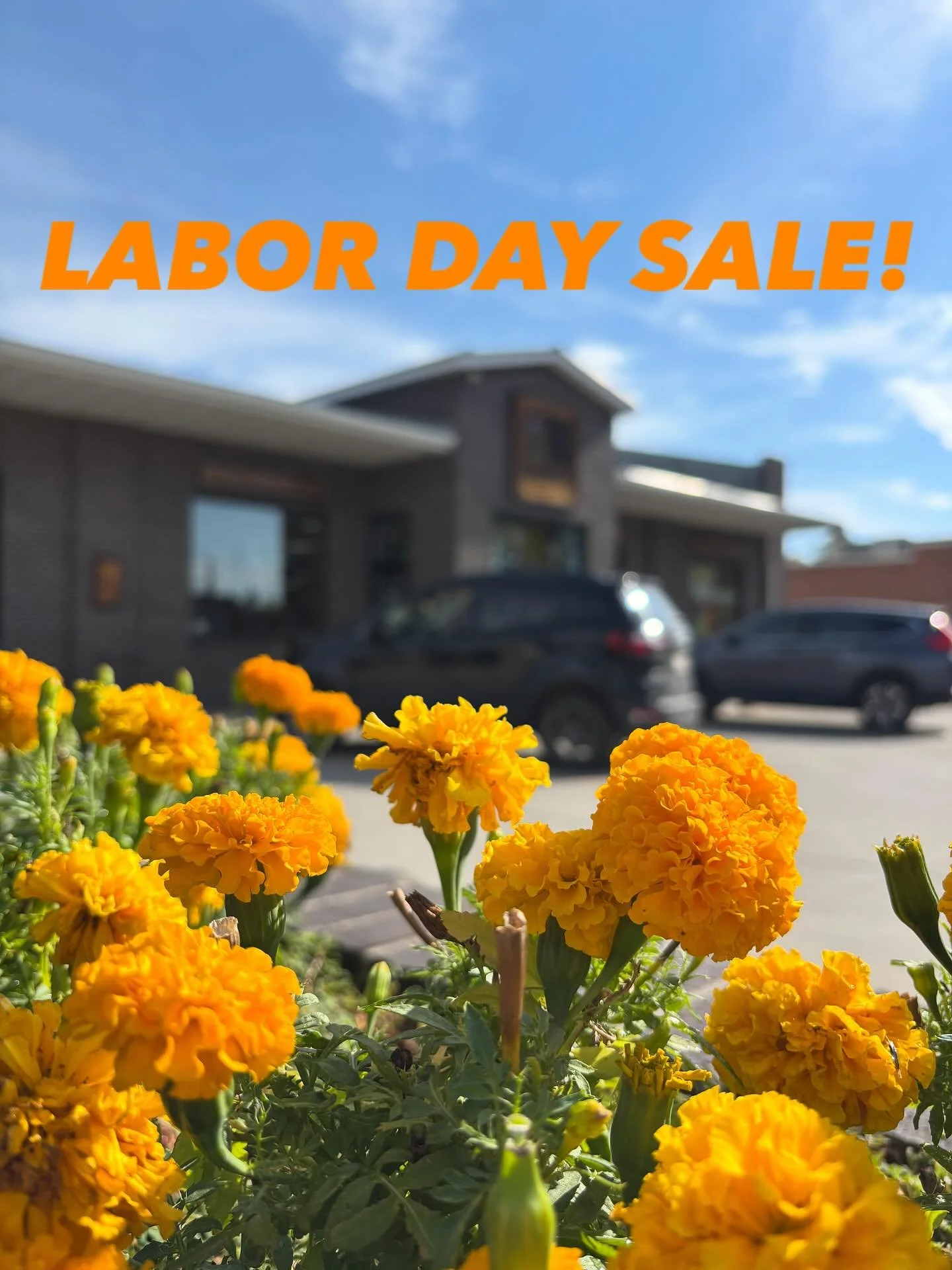 🚨OUR BIGGEST SALE OF THE YEAR 🚨
Come by this Labor Day weekend to take advantage of some steep deals!
⛺️ 50% off select camping gear
🥾 50% off select footwear
👚 40% off select clothing
🧗 30% off select climbing gear
🏔️ 20% off TC Pros
Sa